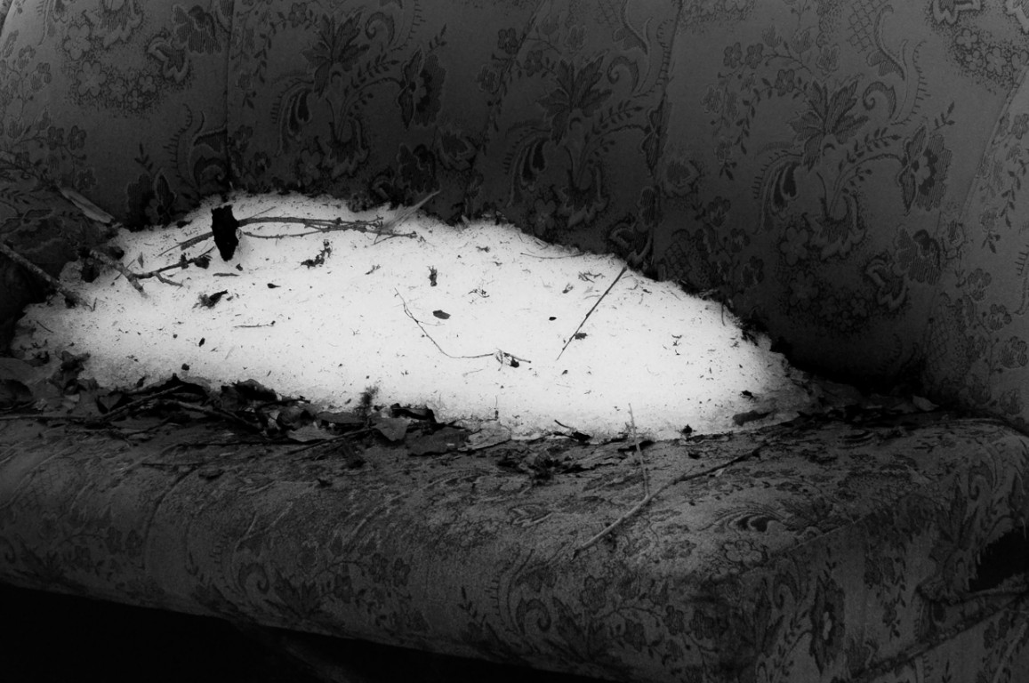 Интервью с Яной Герц. Private image