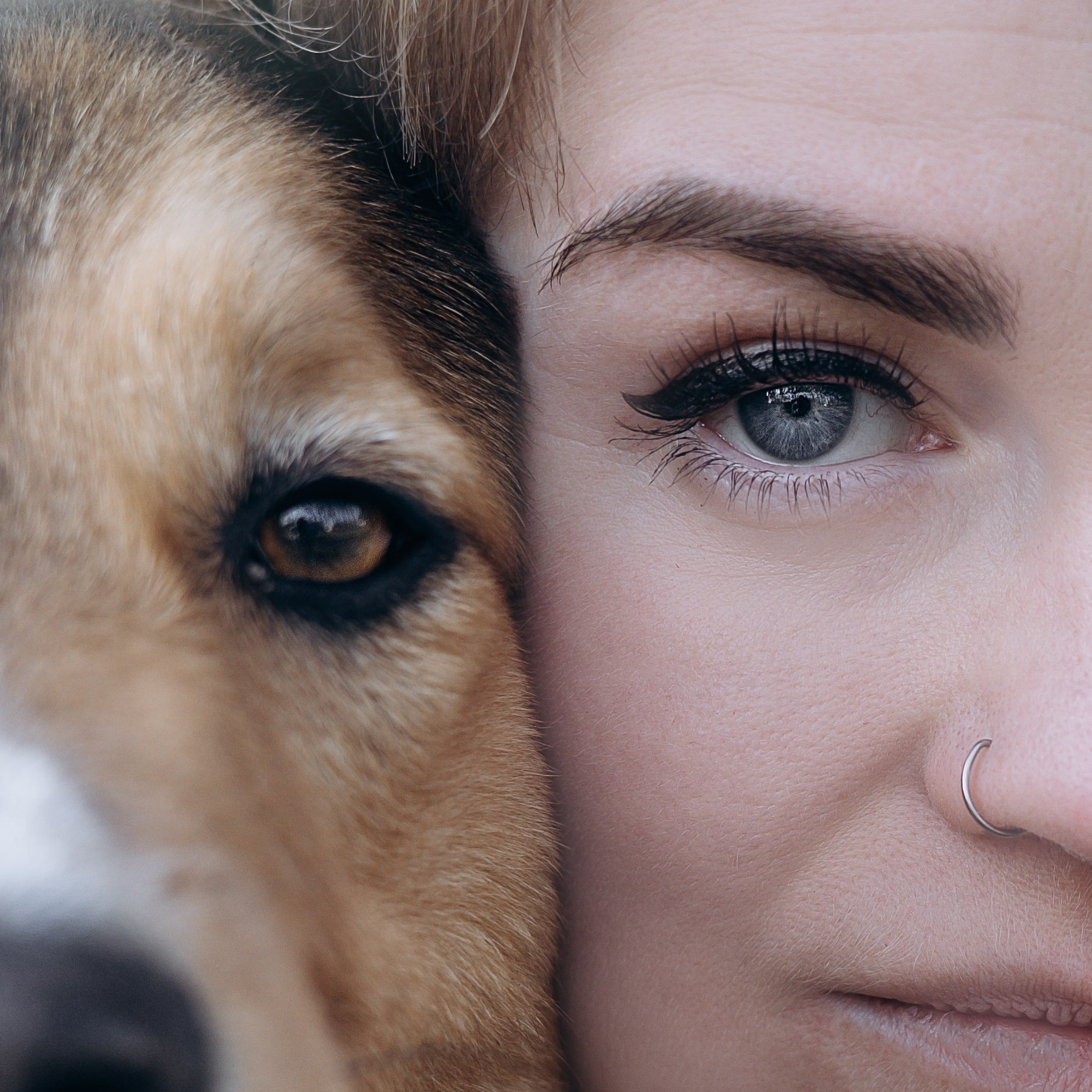 Тарифы и условия. Фотограф животных Евгения Верцинская