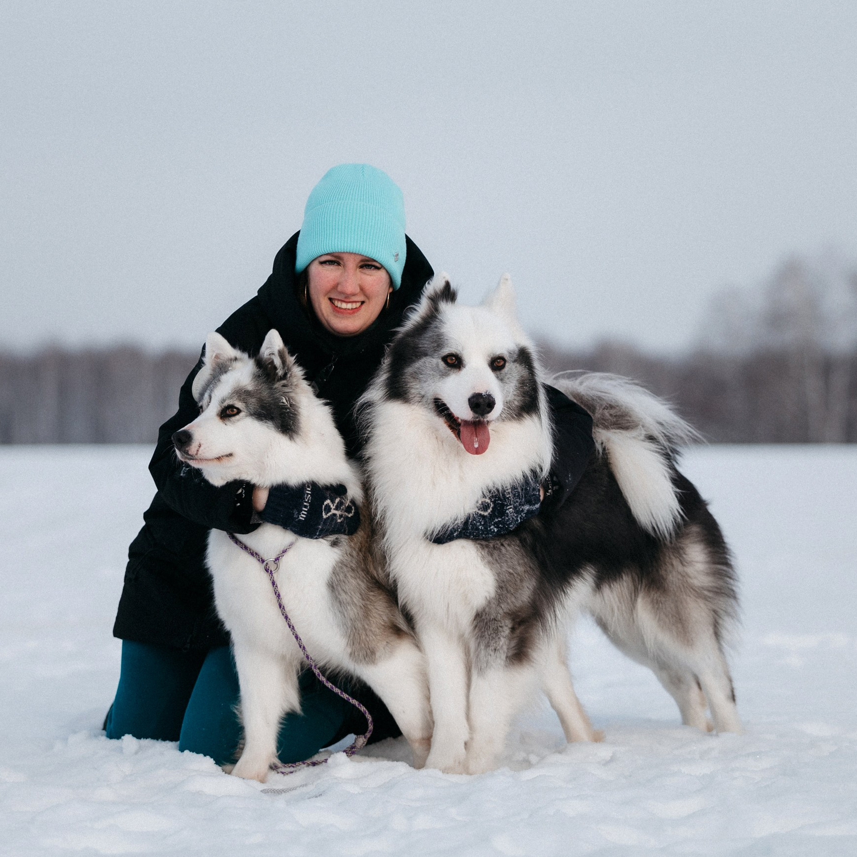 Питомник Грааль Гардарика