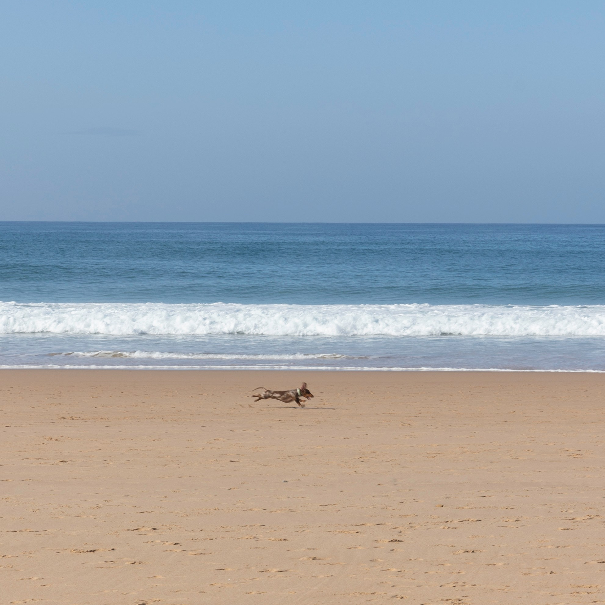 Фотограф алина стерхова, алина стерхова фотограф, фотограф москва
