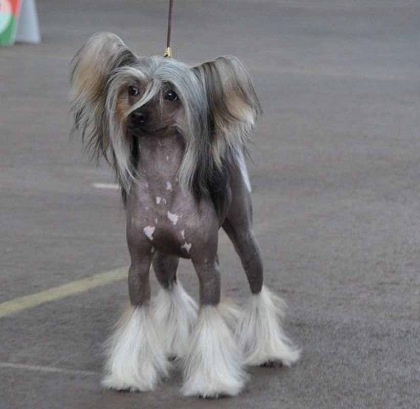 Фото из прошлого