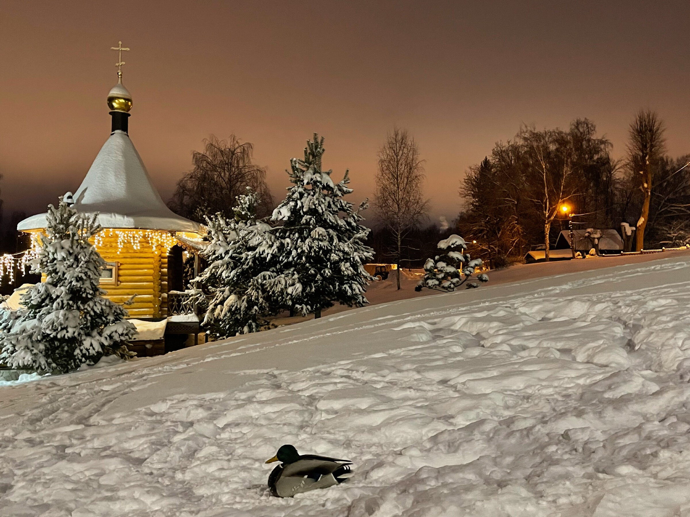 Пришвинские места: парк «Скитские пруды» + Черниговcкий скит. Проект «Фотокладовка»: блог уличной фотографии в формате street photo