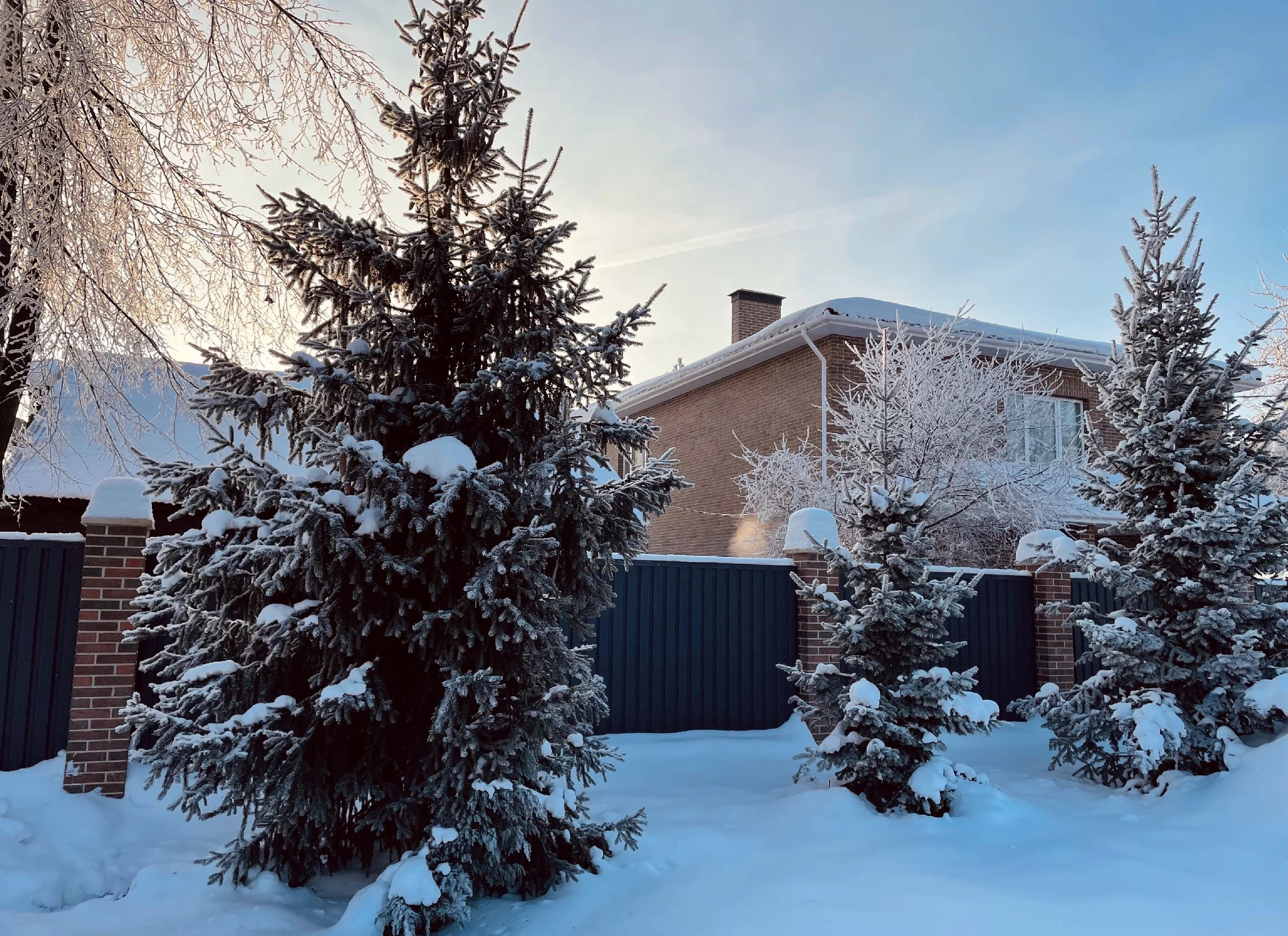 Снежная морозная фотопрогулка в преддверии Нового года. Проект «Фотокладовка»: блог уличной фотографии в формате street photo