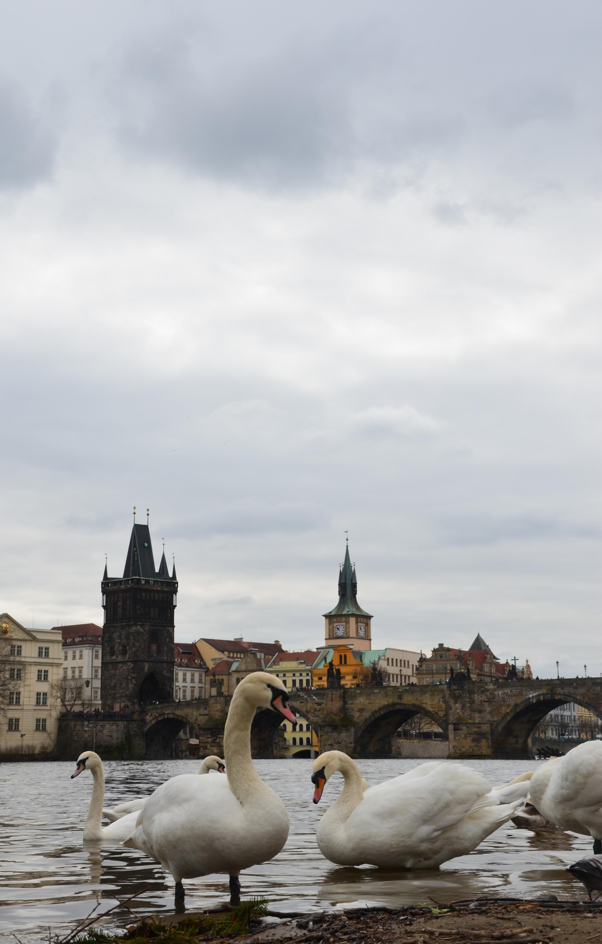Обо мне. Семейный фотограф в Омске Смирнова Светлана