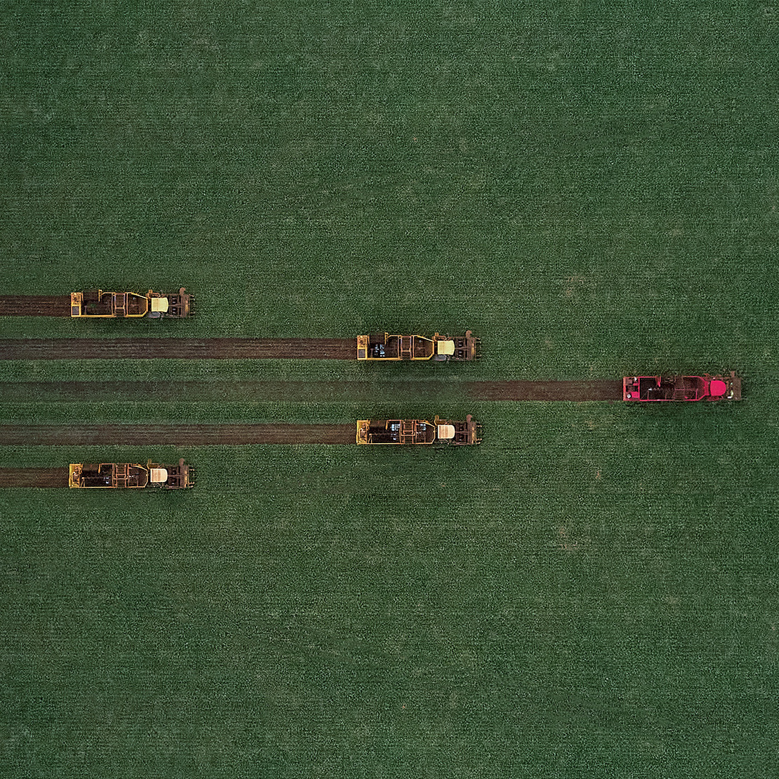 фотограф белгород, профессиональный фотограф,свадебный фотограф белгород,фотограф белгород цена, фотограф в москве