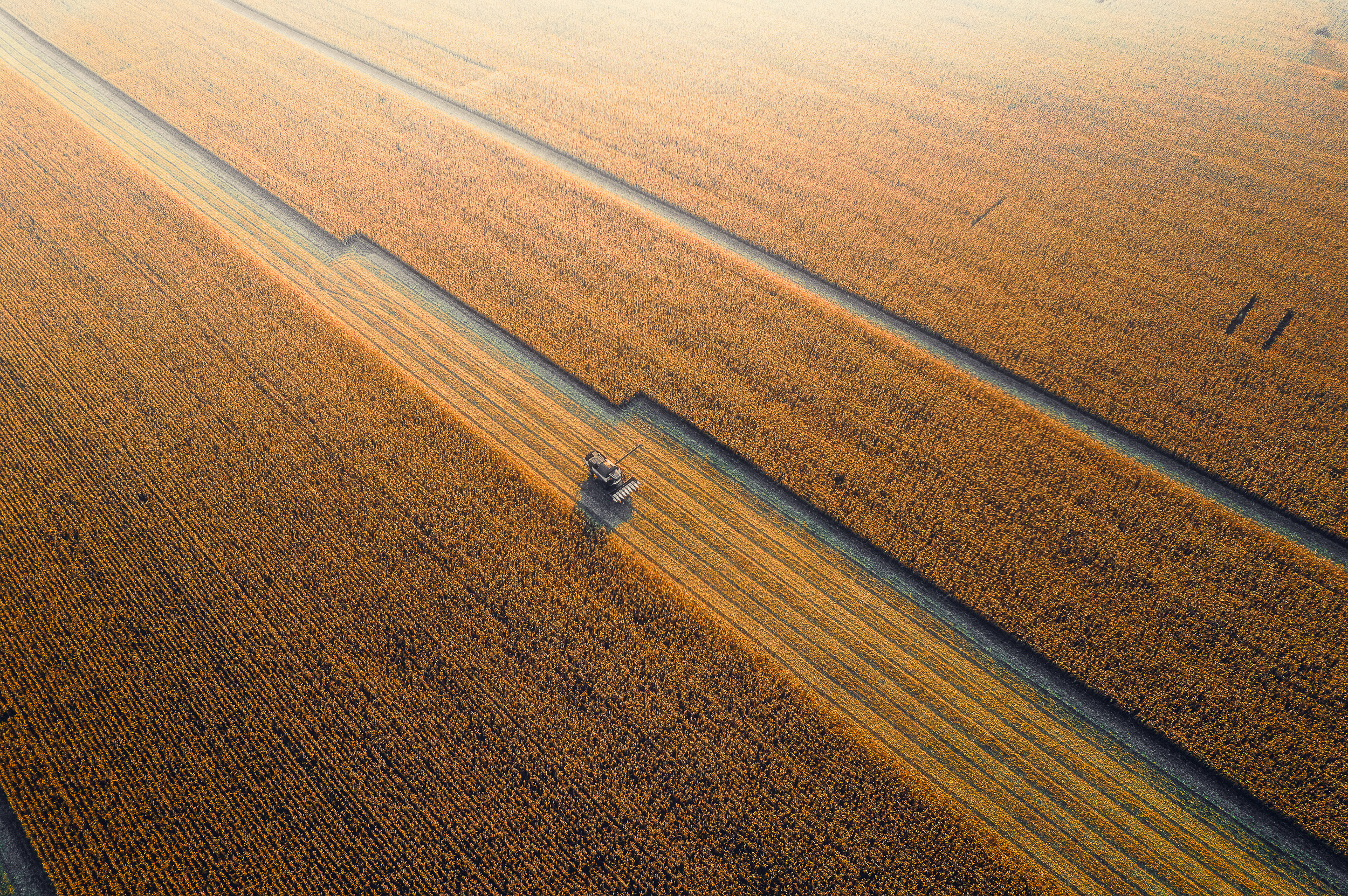 Достижения. Николай Брытков — фотограф в Туле
