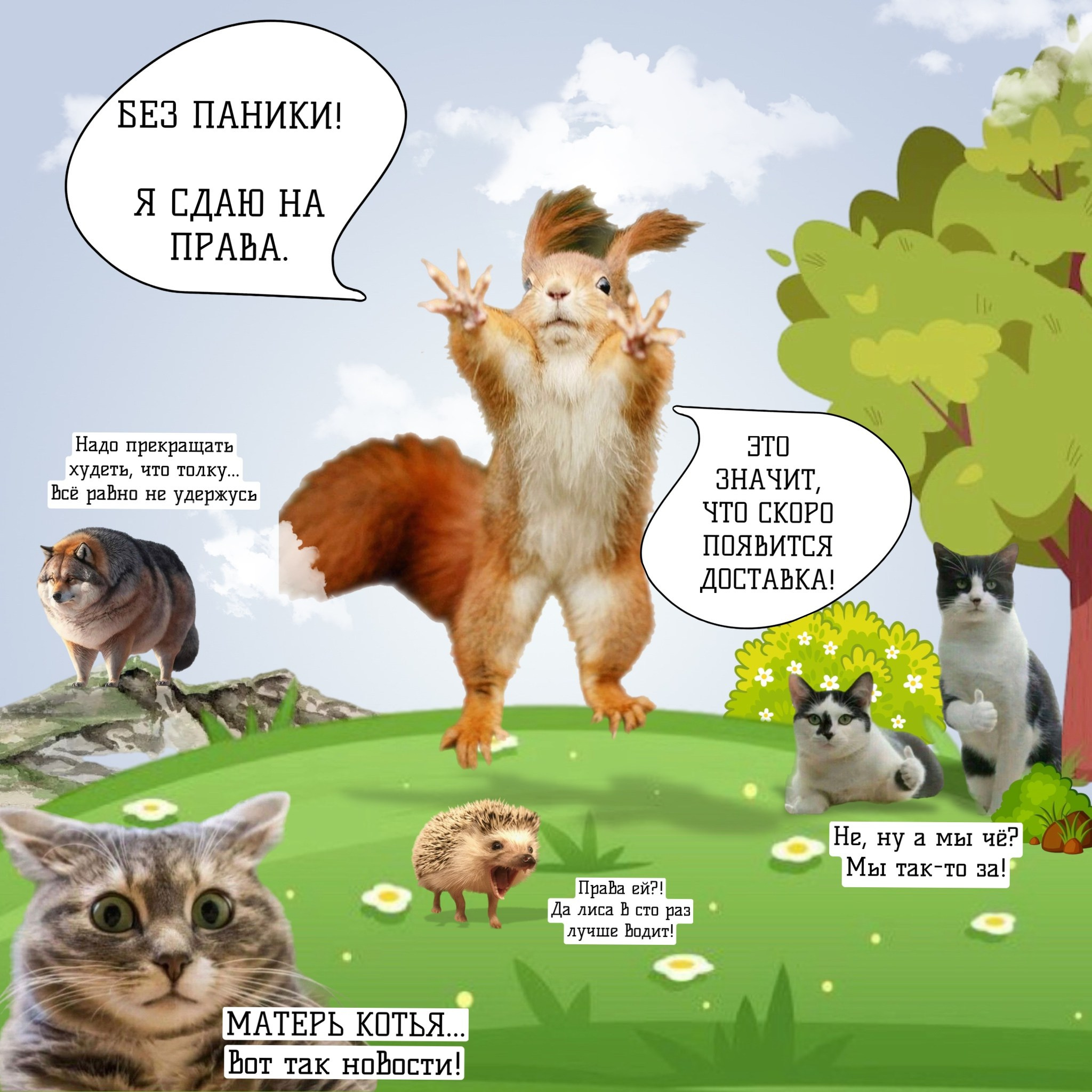 Меню доставки. Кафе «БЕЛКА НАШЕПТАЛА». Ну оооочень концептуальное кафе