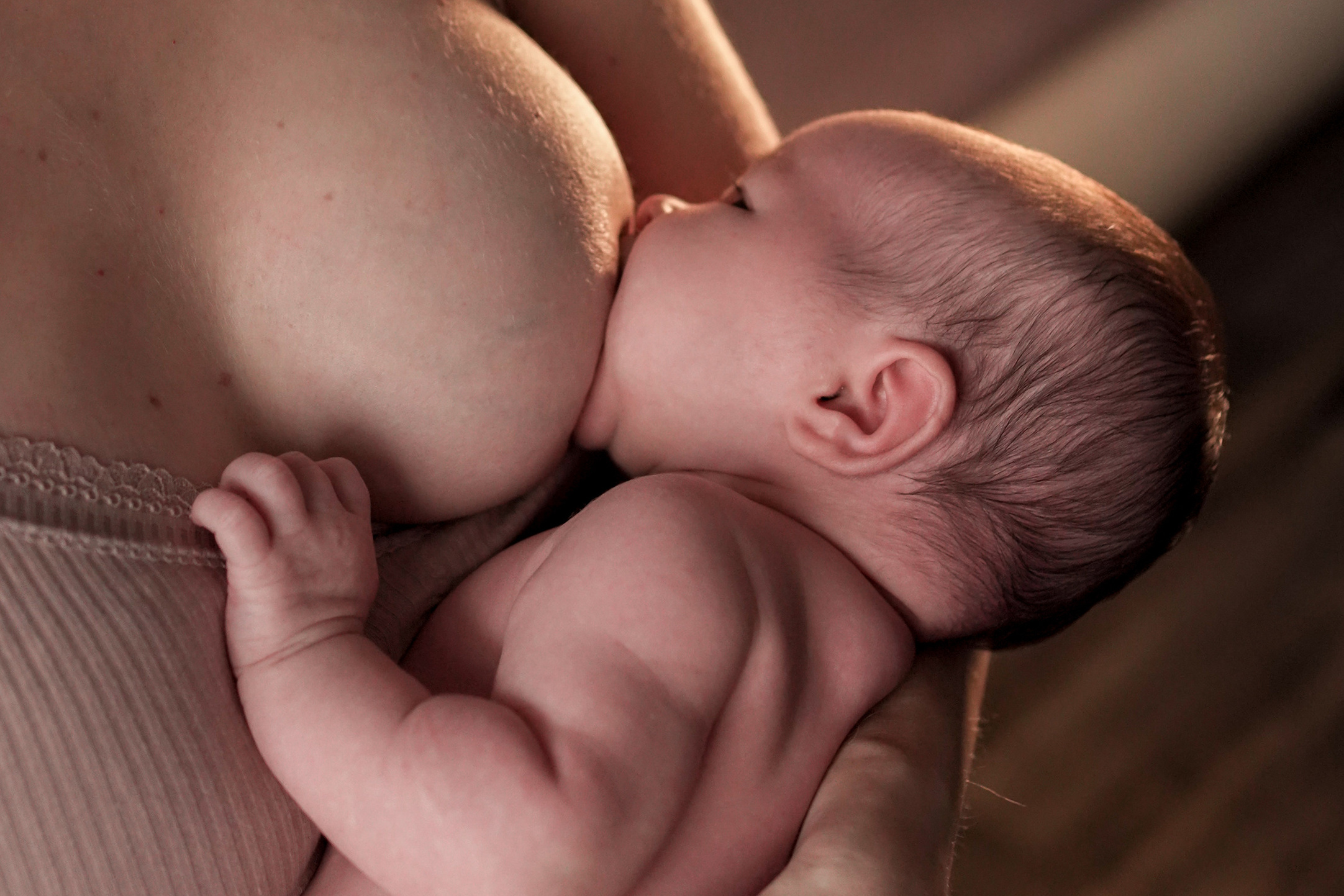 Услуги. Фотограф грудного вскармливания в Москве Екатерина