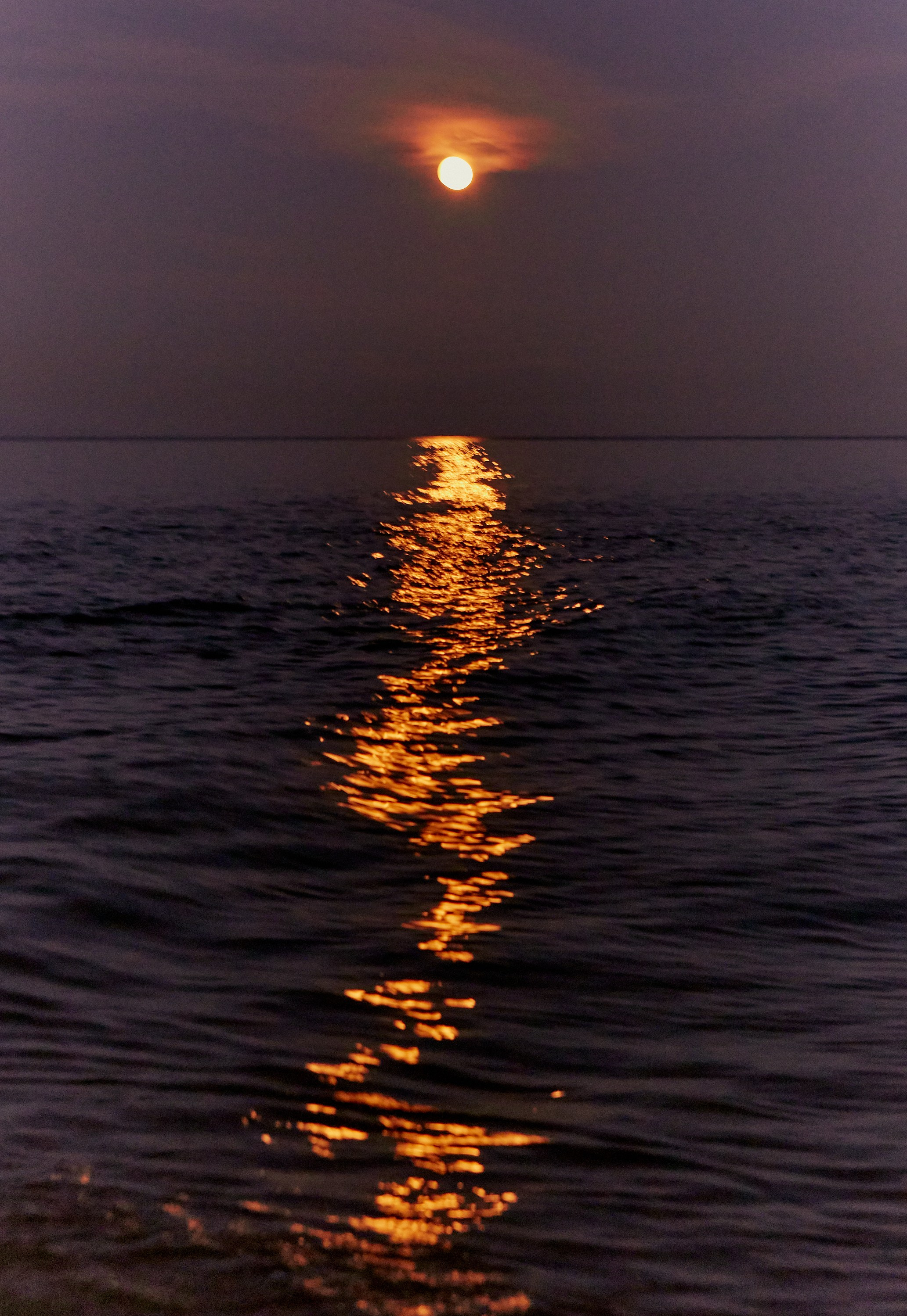 TRAVEL. EVGENYA PERESADOVA