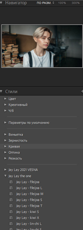 Установка пресетов в Adobe Lightroom и Camera Raw. Обучающий блог фотографа Jay Lay | Фотограф Казань
