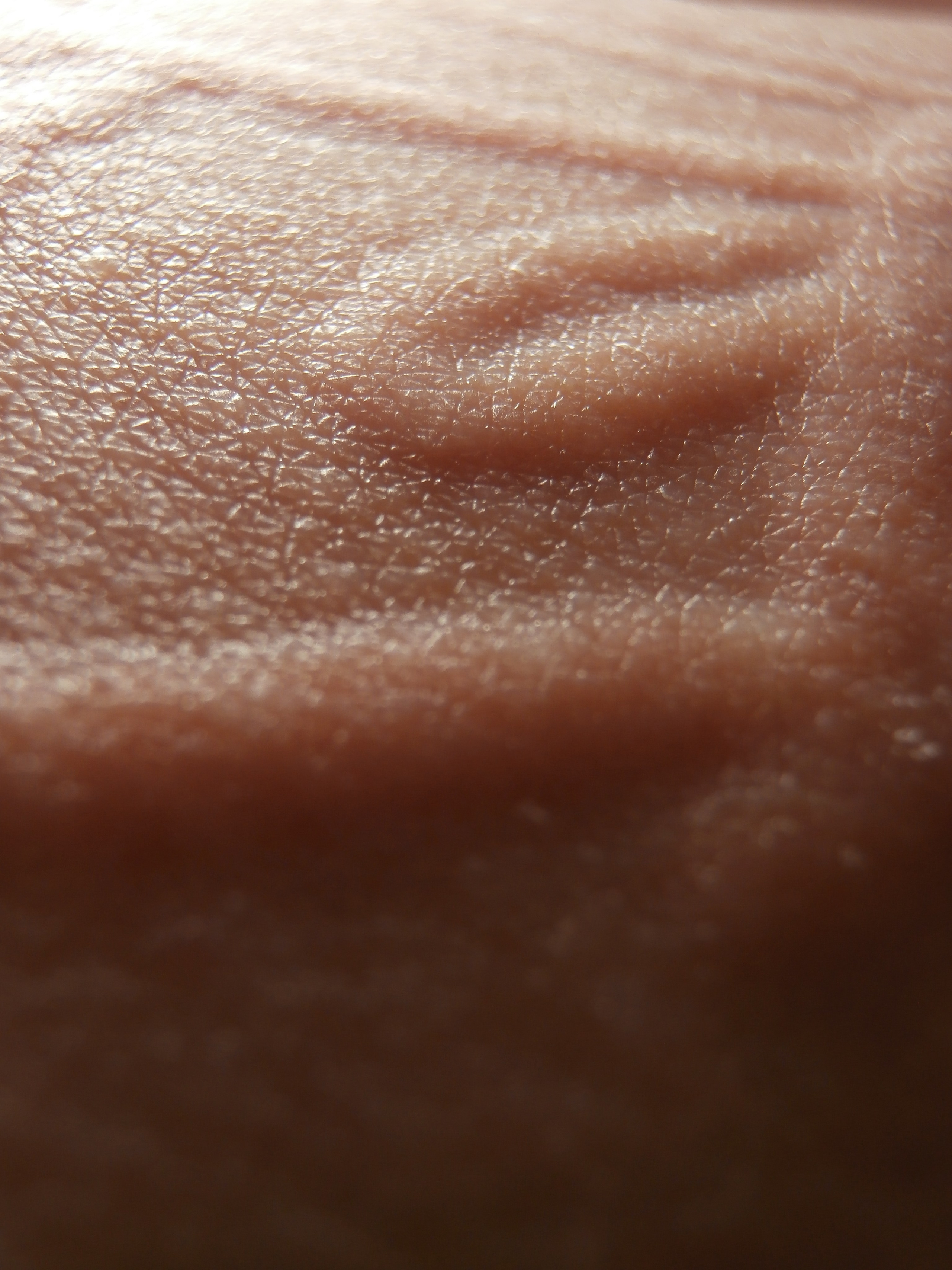 Photographer Dima Sharov | Фотограф Дима Шаров