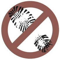 1-обувь. Вода — фотостудия в центре Брянска