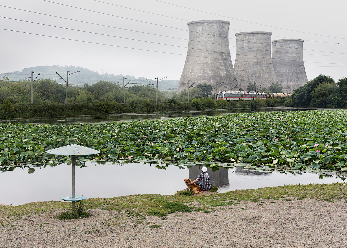 ◽ Вежливая рыба. Елена Аносова — художница и исследовательница, куратор и лектор