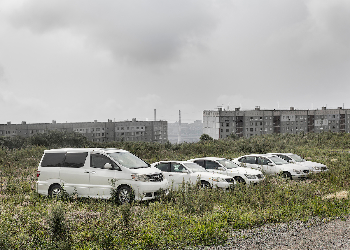 ◽ Вежливая рыба. Елена Аносова — художница и исследовательница, куратор и лектор