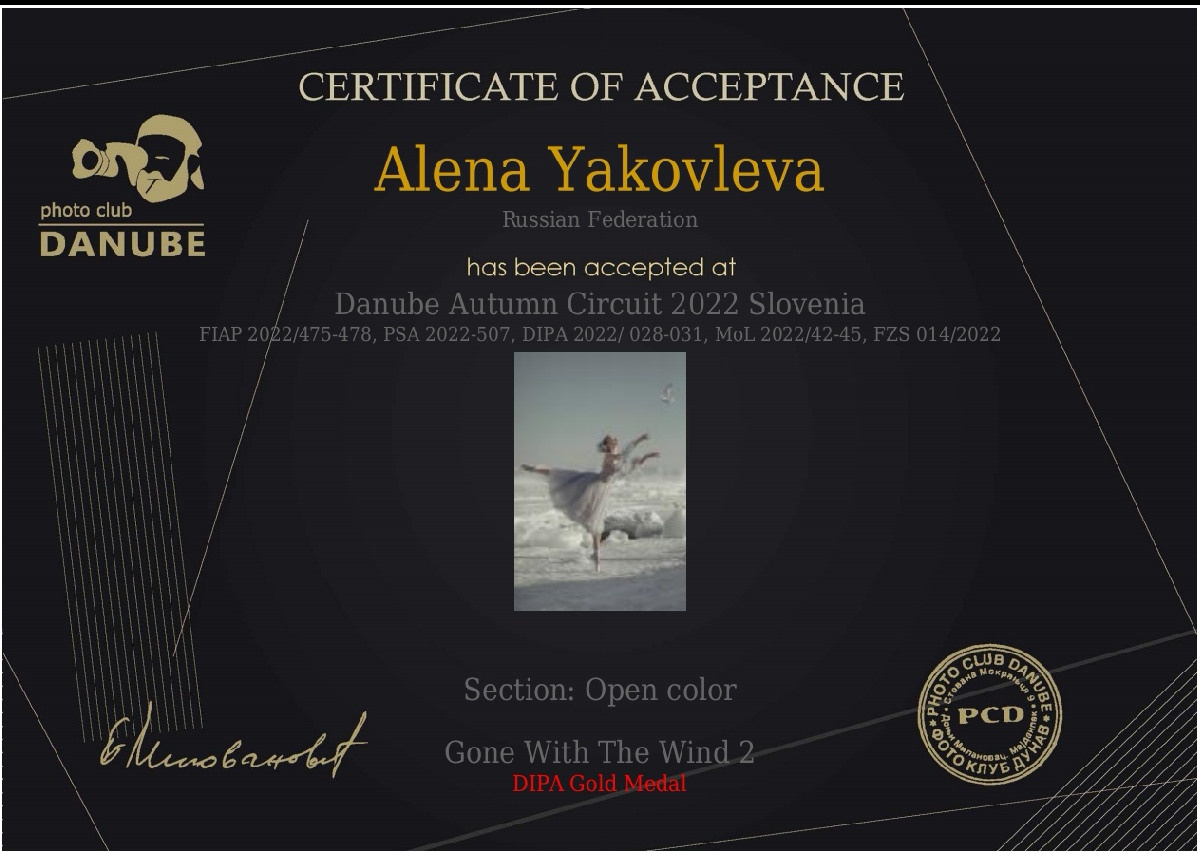 Награды. Фотограф Алёна Яковлева