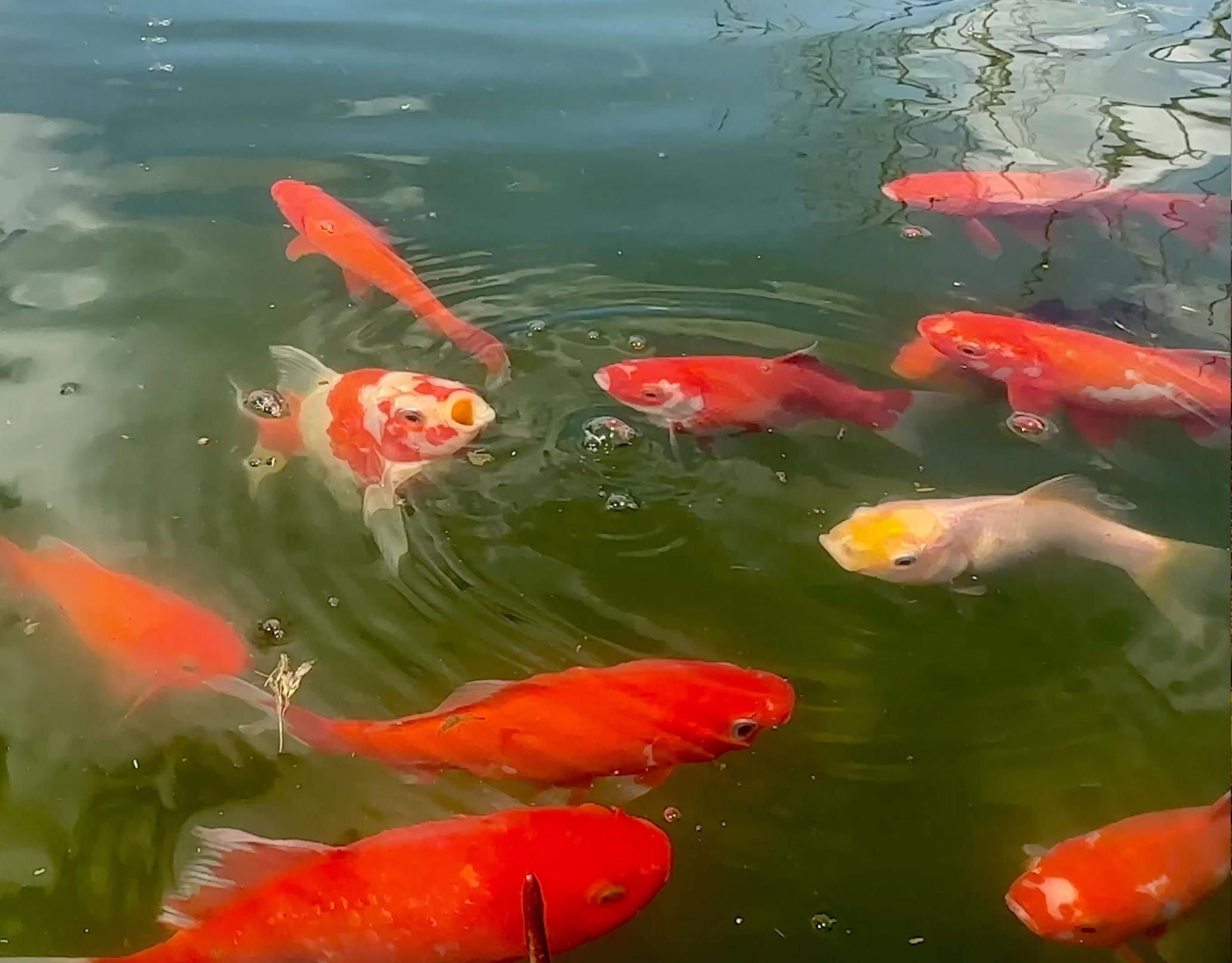 Вся природа оживает. Эко отдых в Подмосковье в эко-отеле Марии Гиппенрейтер