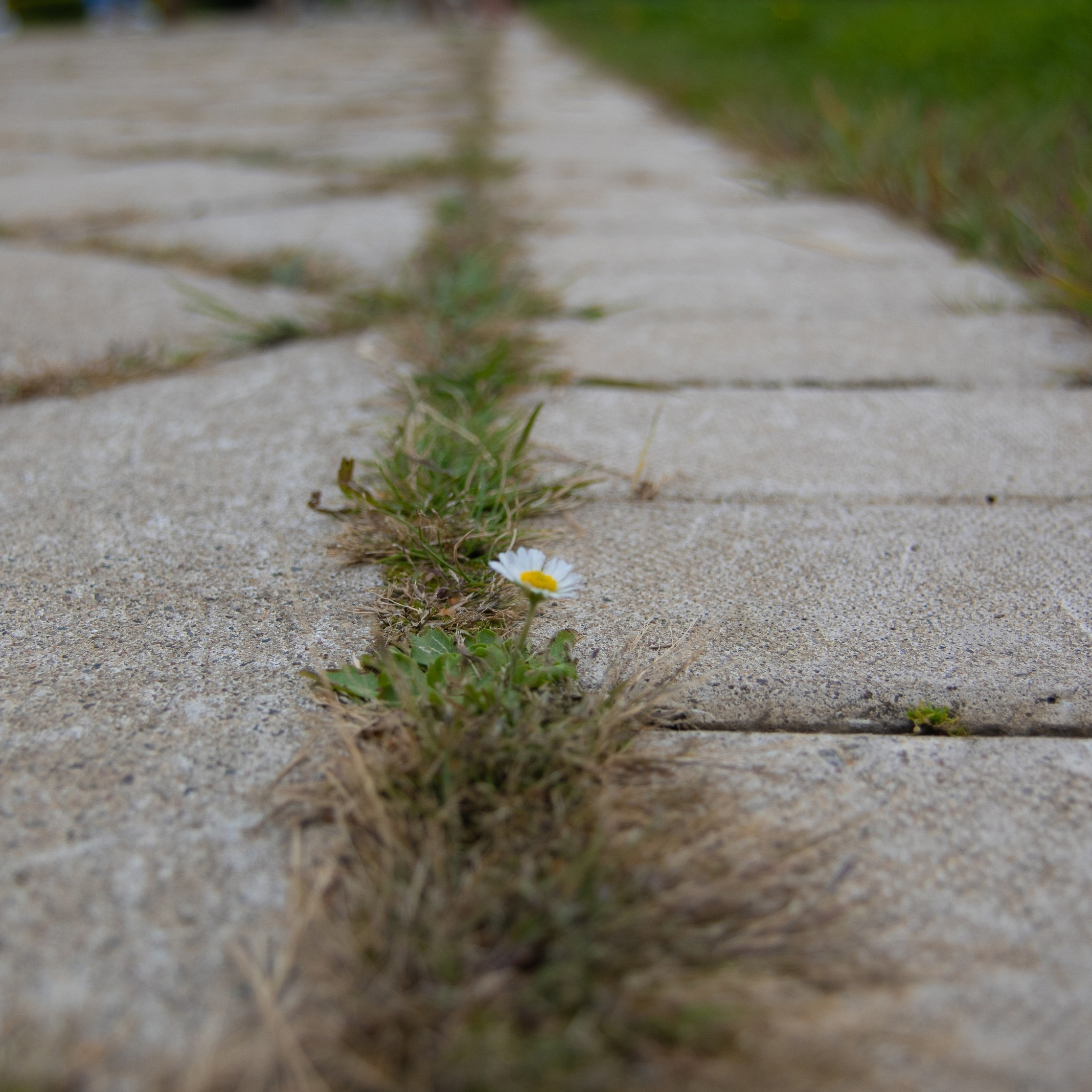 Услуги. Фотограф, получающий удовольствие от своей работы
