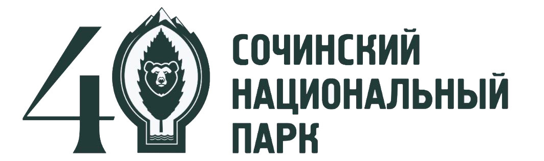 Макс Медиа Групп