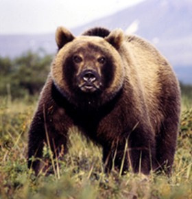 ВАДИМ ГИППЕНРЕЙТЕР — ВЕЛИКИЙ ФОТОГРАФ ЗЕМЛИ РУССКОЙ