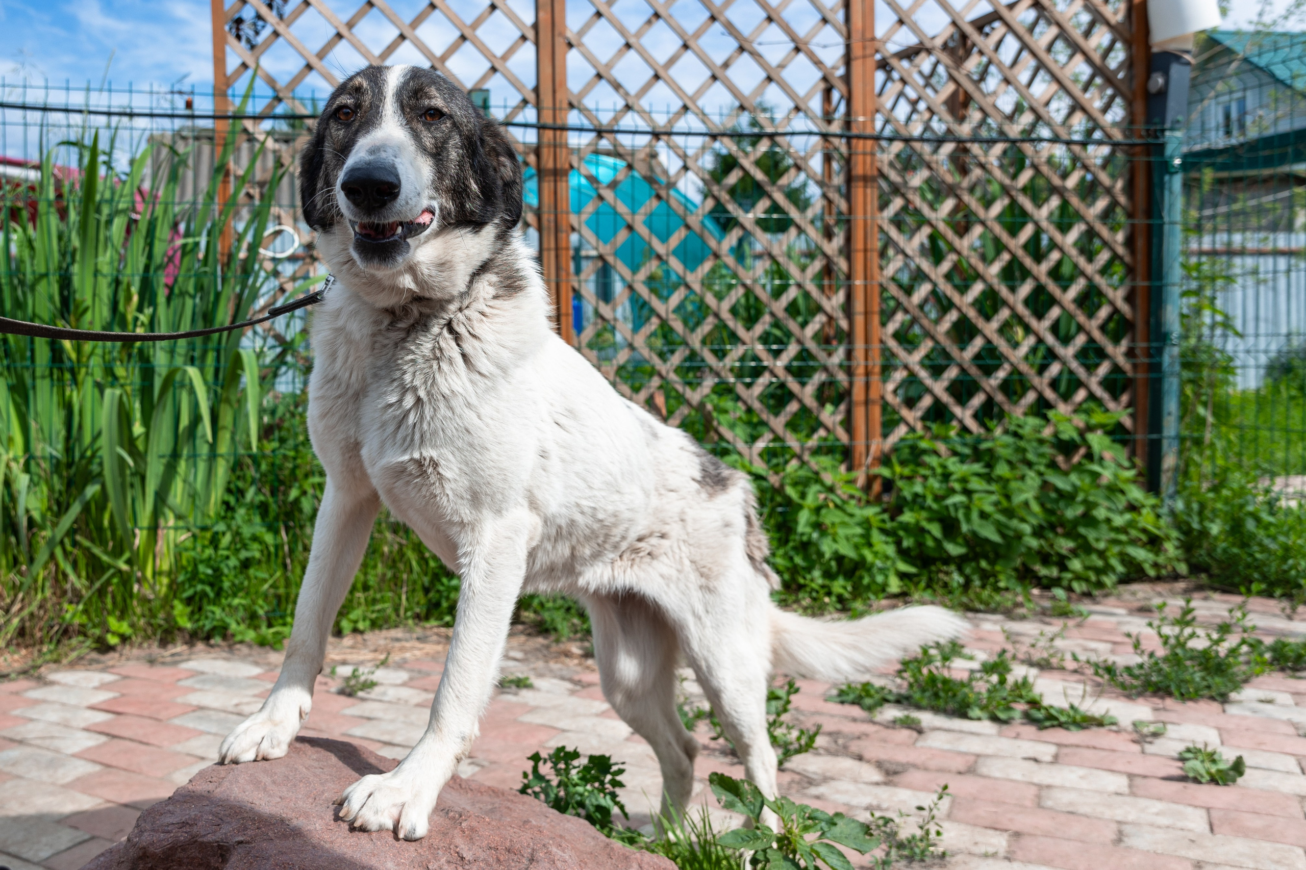 Priyut-gostinica. Professional photographer Alexey Nikitin in Moscow