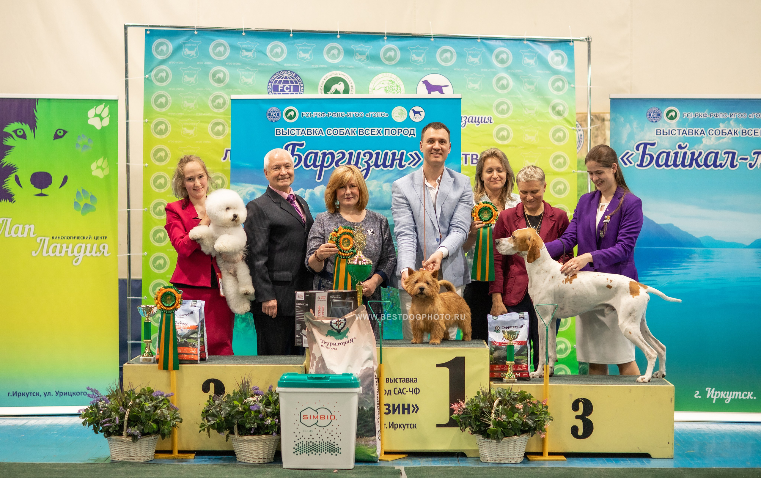 Для клиентов. Фотограф для Вашей собаки