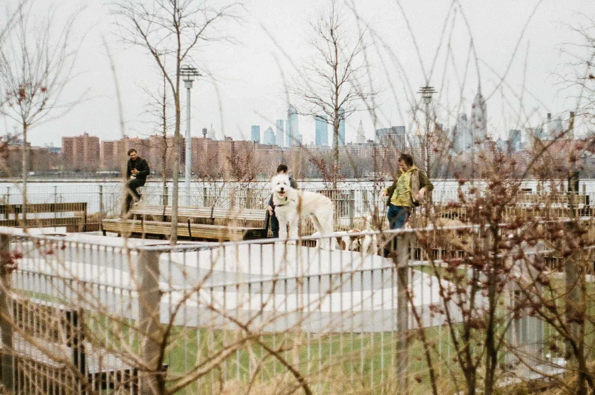 WILLIAMSBURG AS IT WAS. Anna Esquilin Art Photographer