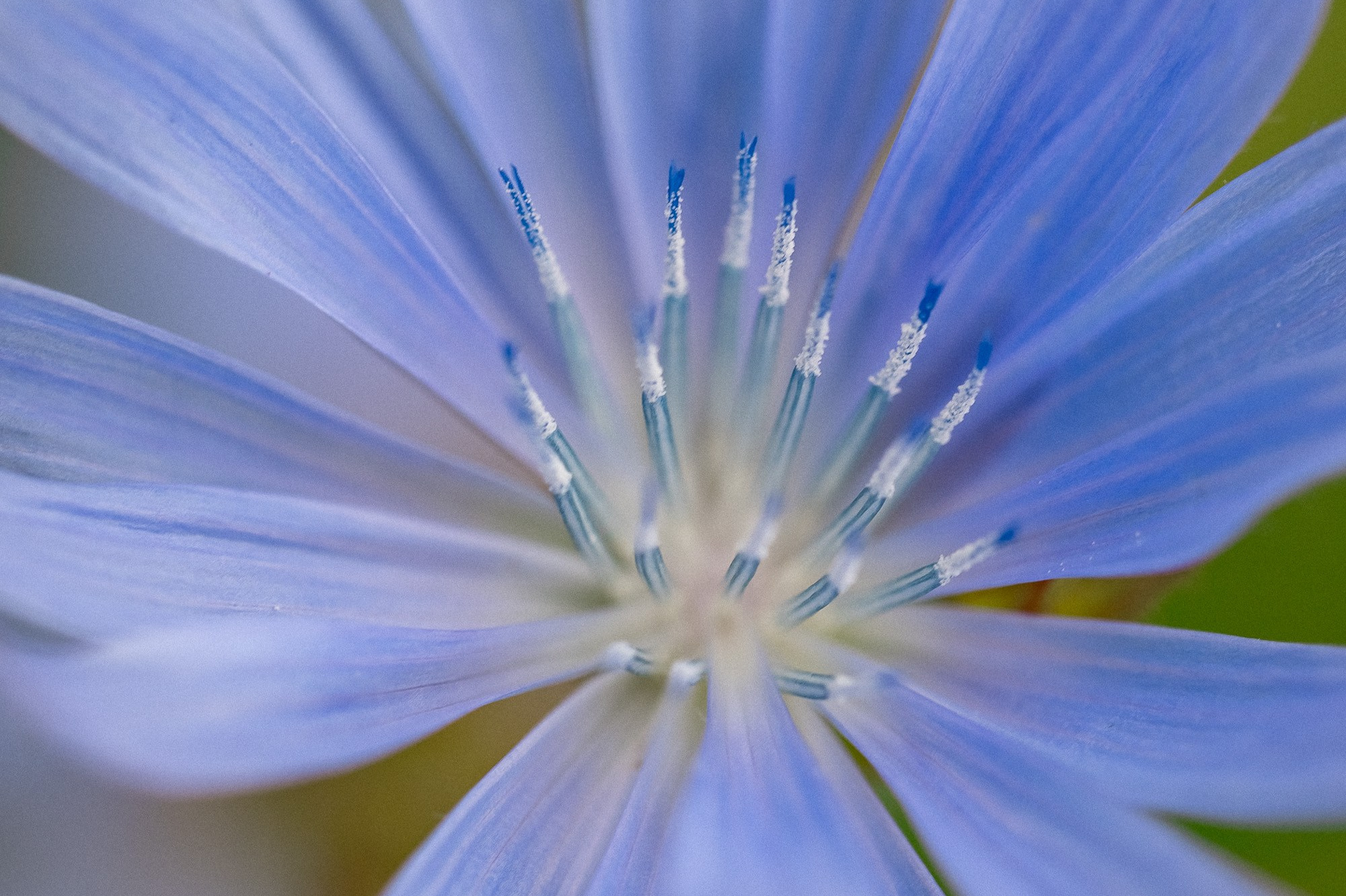 TOP 12% лучших фотографий конкурса. Фотограф Алексей Ка…