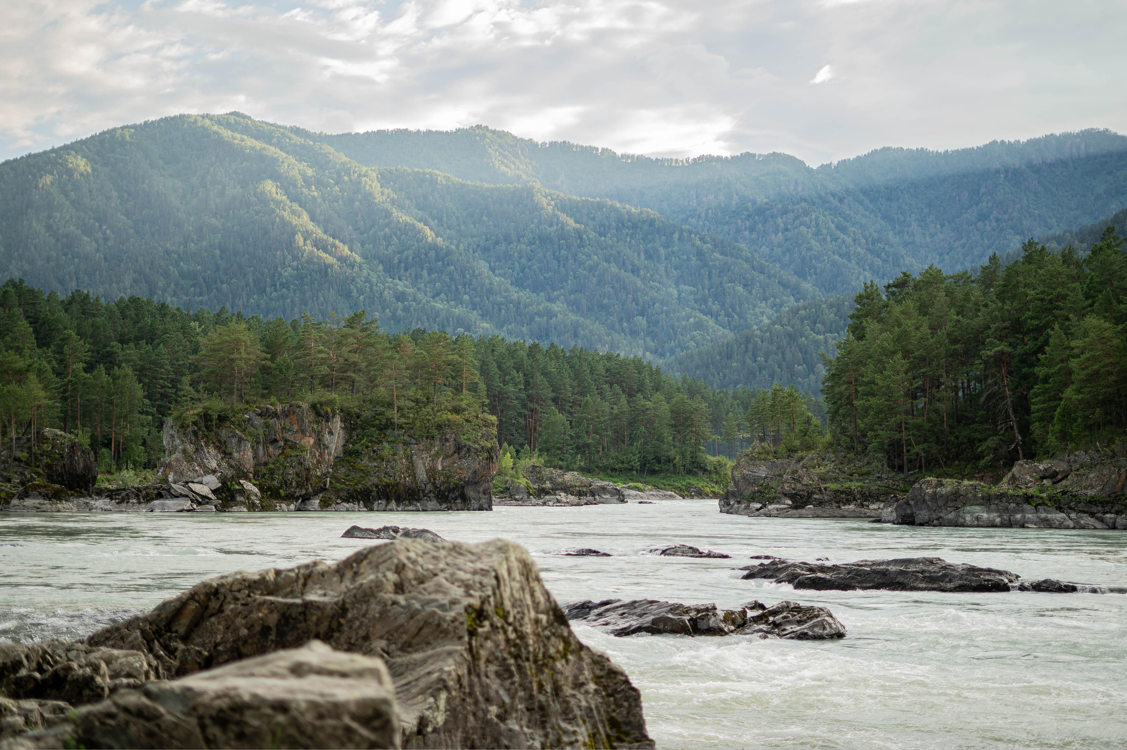Цена на услуги фотографа Новосибирск Краснообск