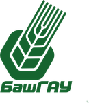 zainullin-rin.wfolio.pro