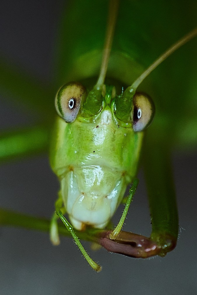 Кудрина Дарья. ARTEXPOPHOTO