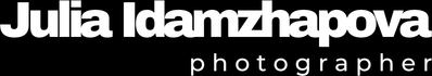 idamzhapova.wfolio.pro