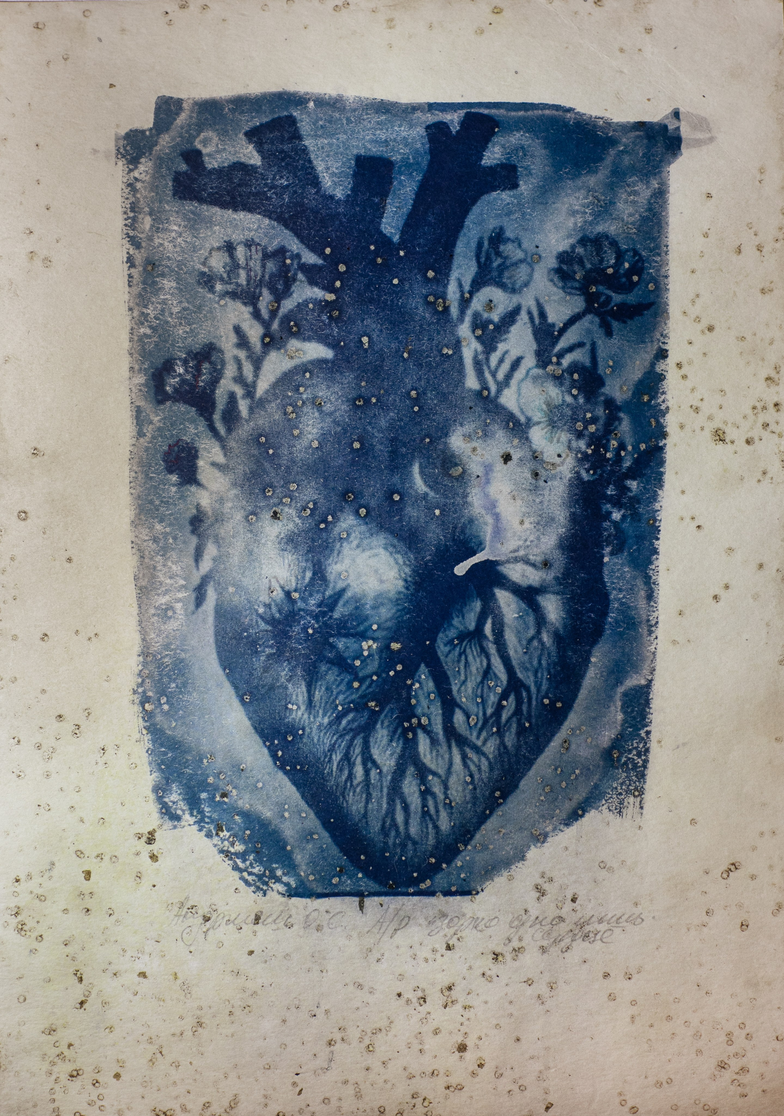 ЦИАНОТИПИЯ. СОВРЕМЕННЫЙ ХУДОЖНИК ОЛЬГА АНДРИЯШ