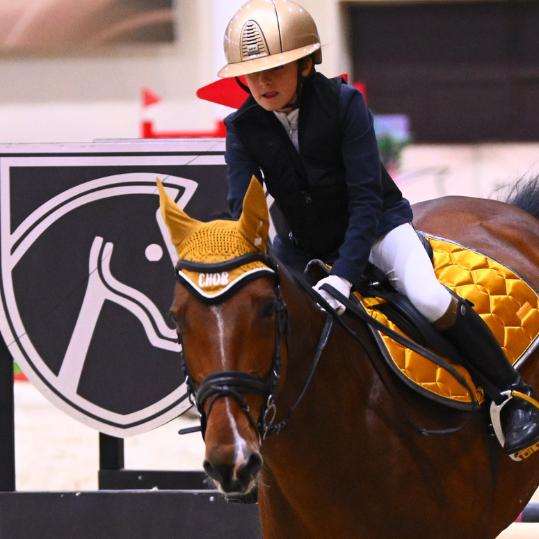 2025.10.25 — КСК Виват, Россия!. ТУРНИРНАЯ КОННАЯ ФОТОГРАФИЯ, Руднева Ольга и Евгений Адеев