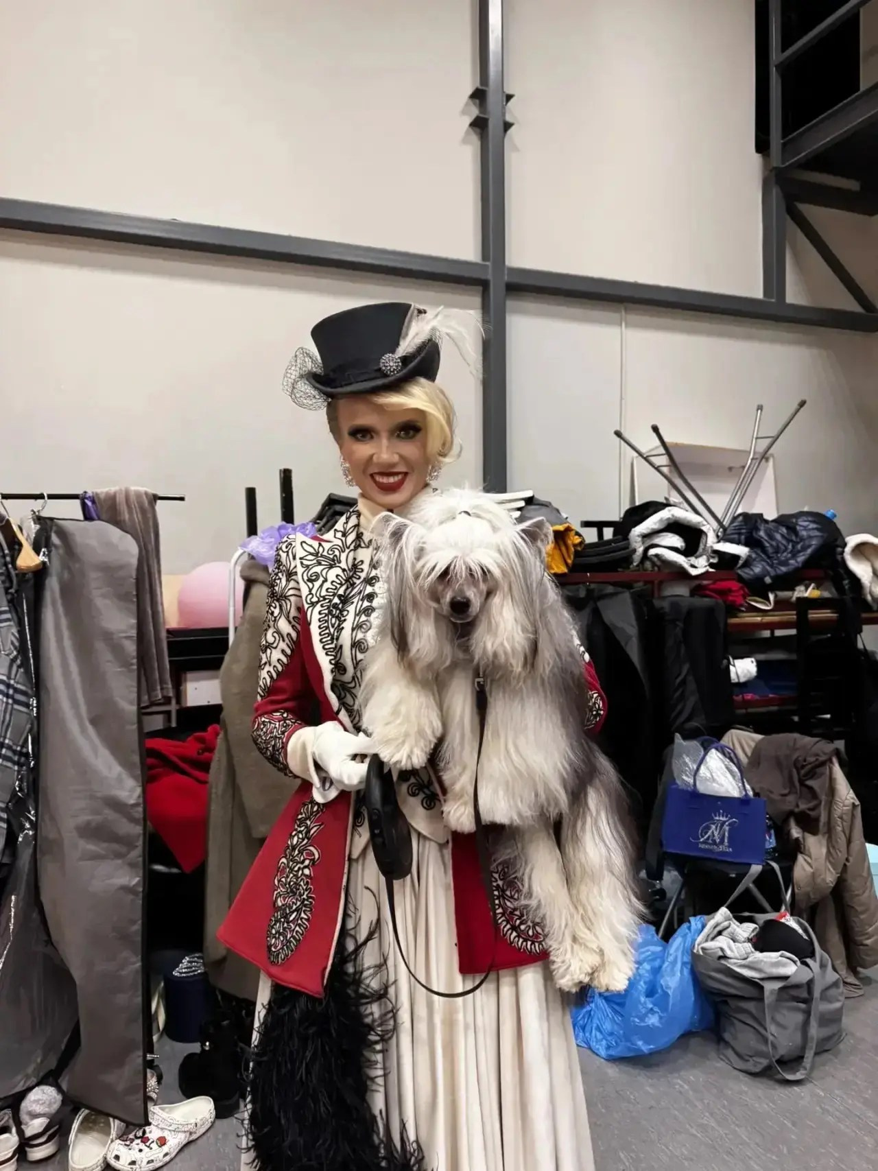 “Mrs. Lakhta” of the Primorsky District of St. Petersburg. Poale Ell Chinese Crested Dog Kennel: Buy a puppy from the kennel