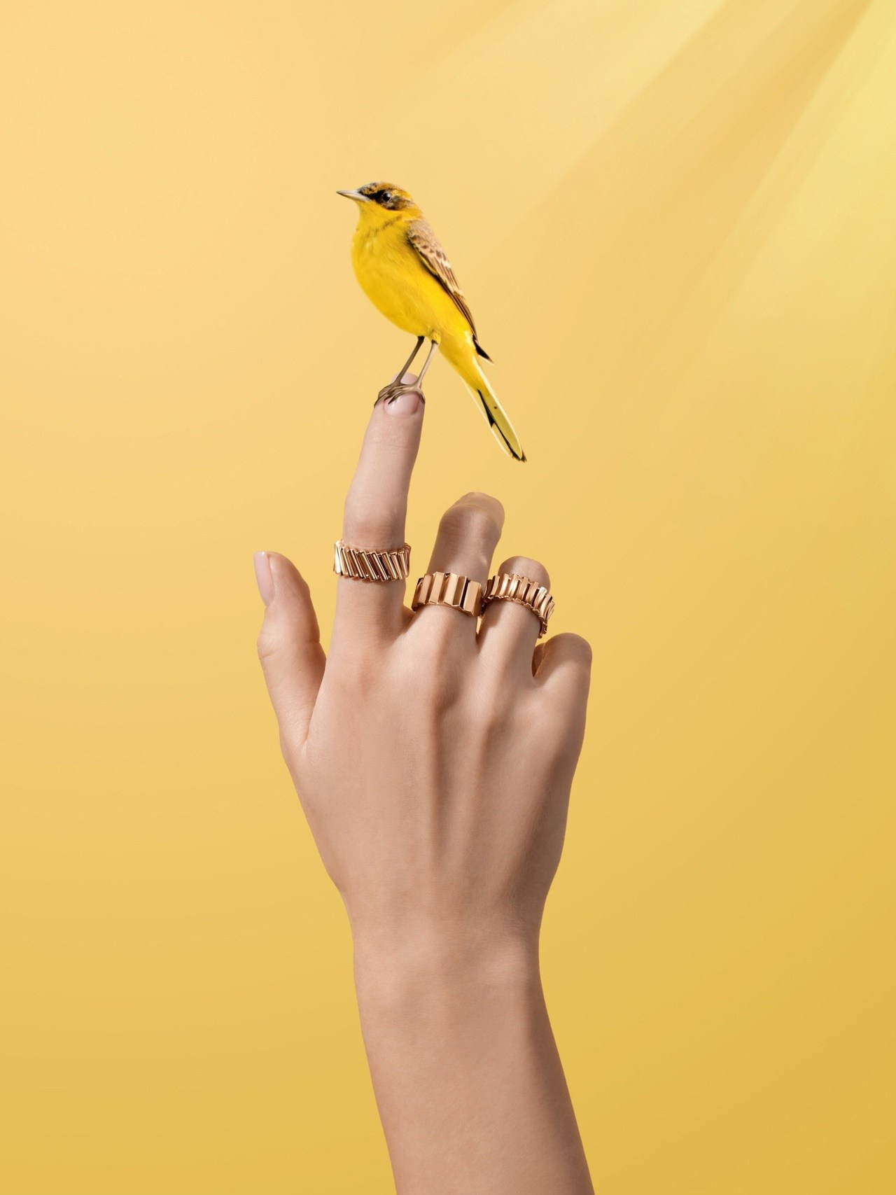 Фотограф ювелирных изделий и бижутерии в Кирове. Предметный фотограф Киров. Съемка для маркетплейсов