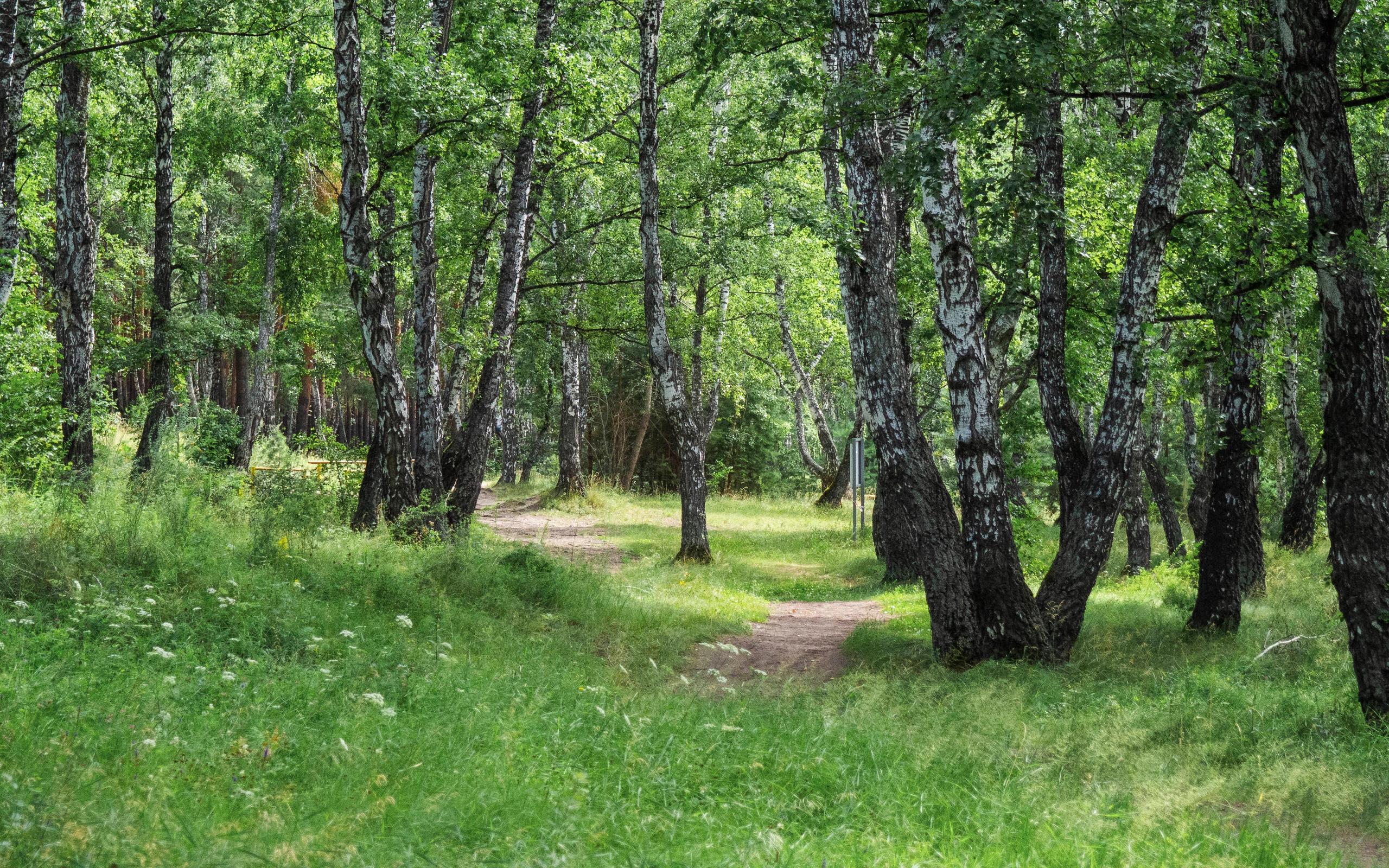 Примечательные места. Гагаринский парк в Тюмени
