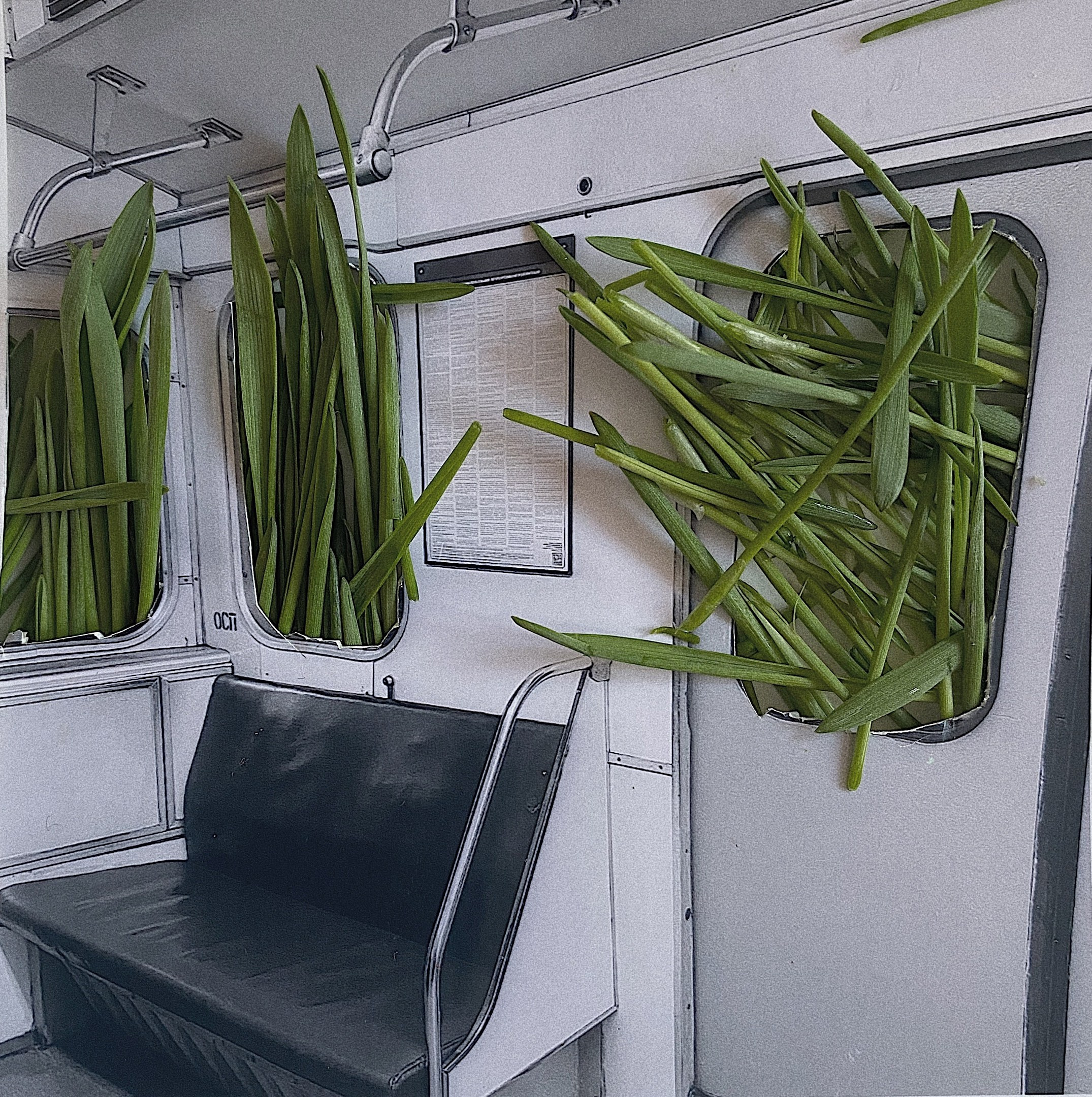 Мастер-класс. Маша Иванова —