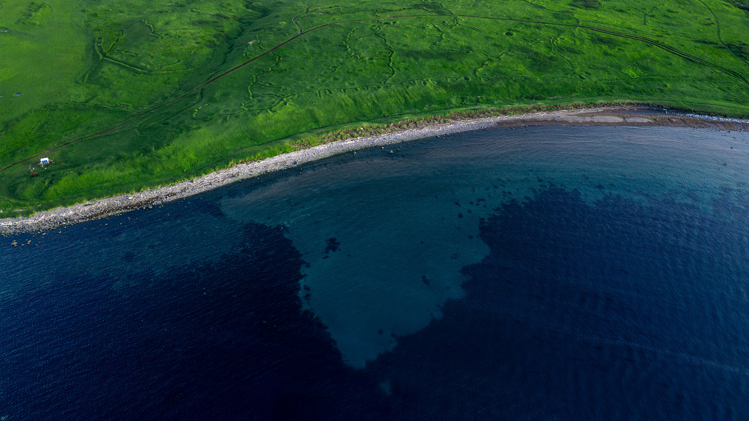 Берег Парамушира с дрона