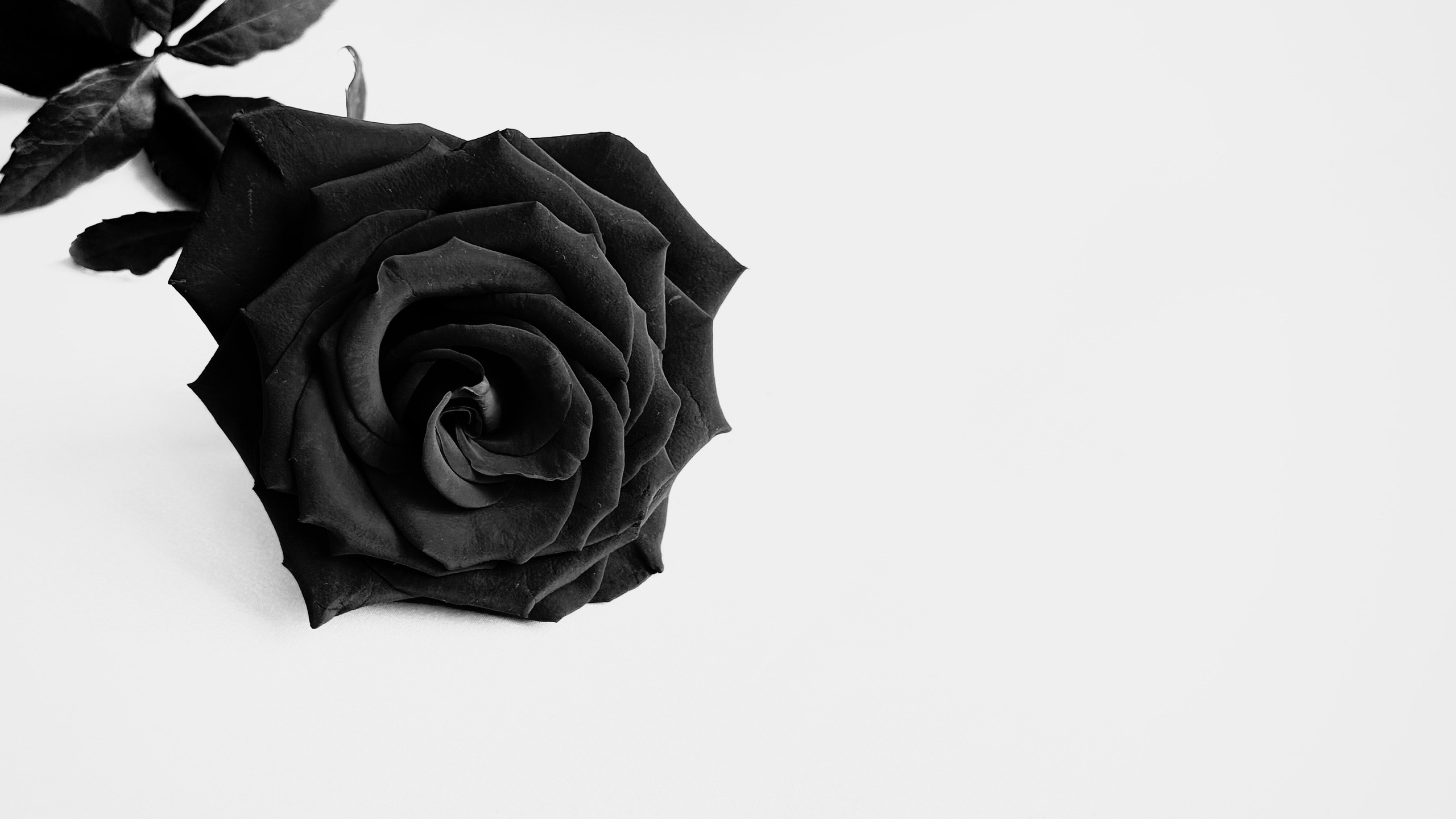 Price. Ibrahimova Aynur Photography