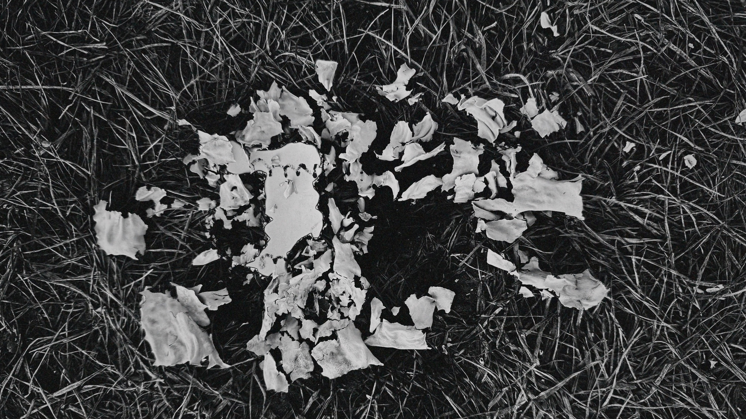 Перформанс «Лес мыслей». Коммерческий фотограф в Казани Ксения Добролюбова