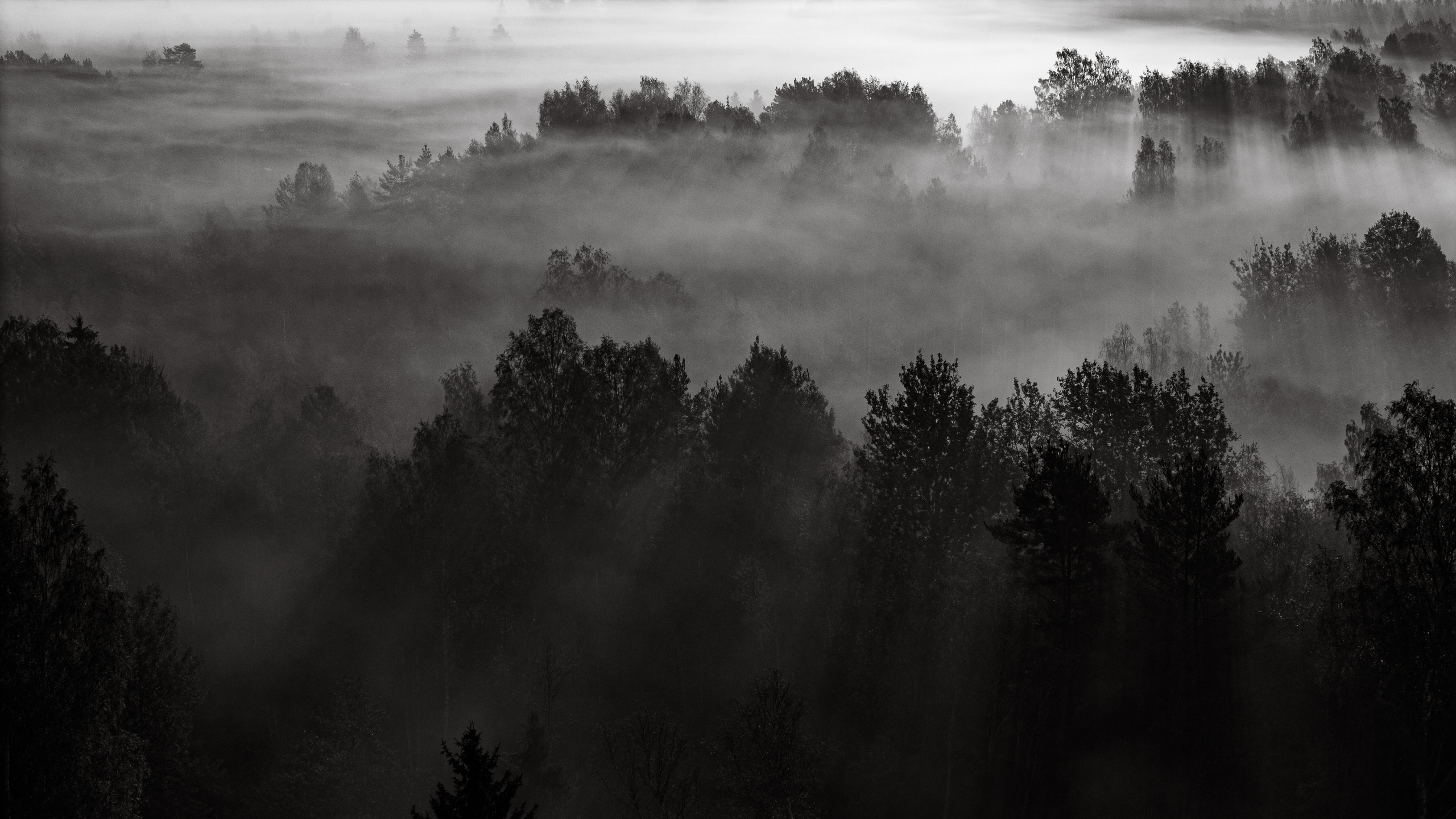 Профессиональная аэросъемка с использованием дрона.