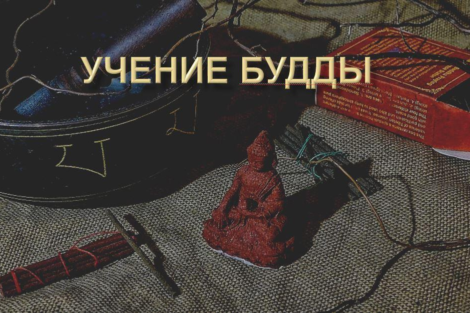 Обучение. Матвей Лебедев: фото и видео, сайты. Москва, Жуковский, Малаховка