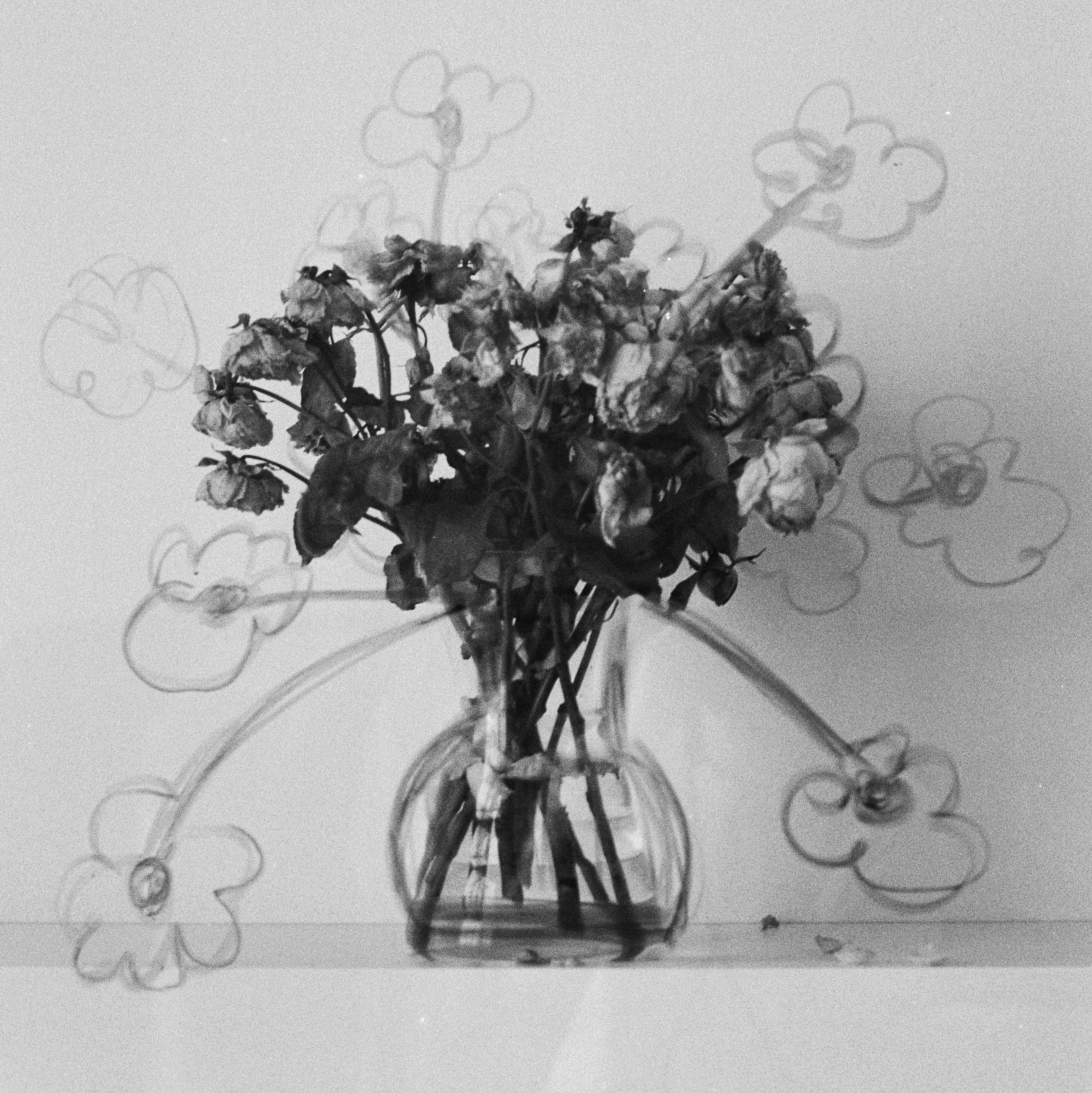 Contacts. Katyavasileva