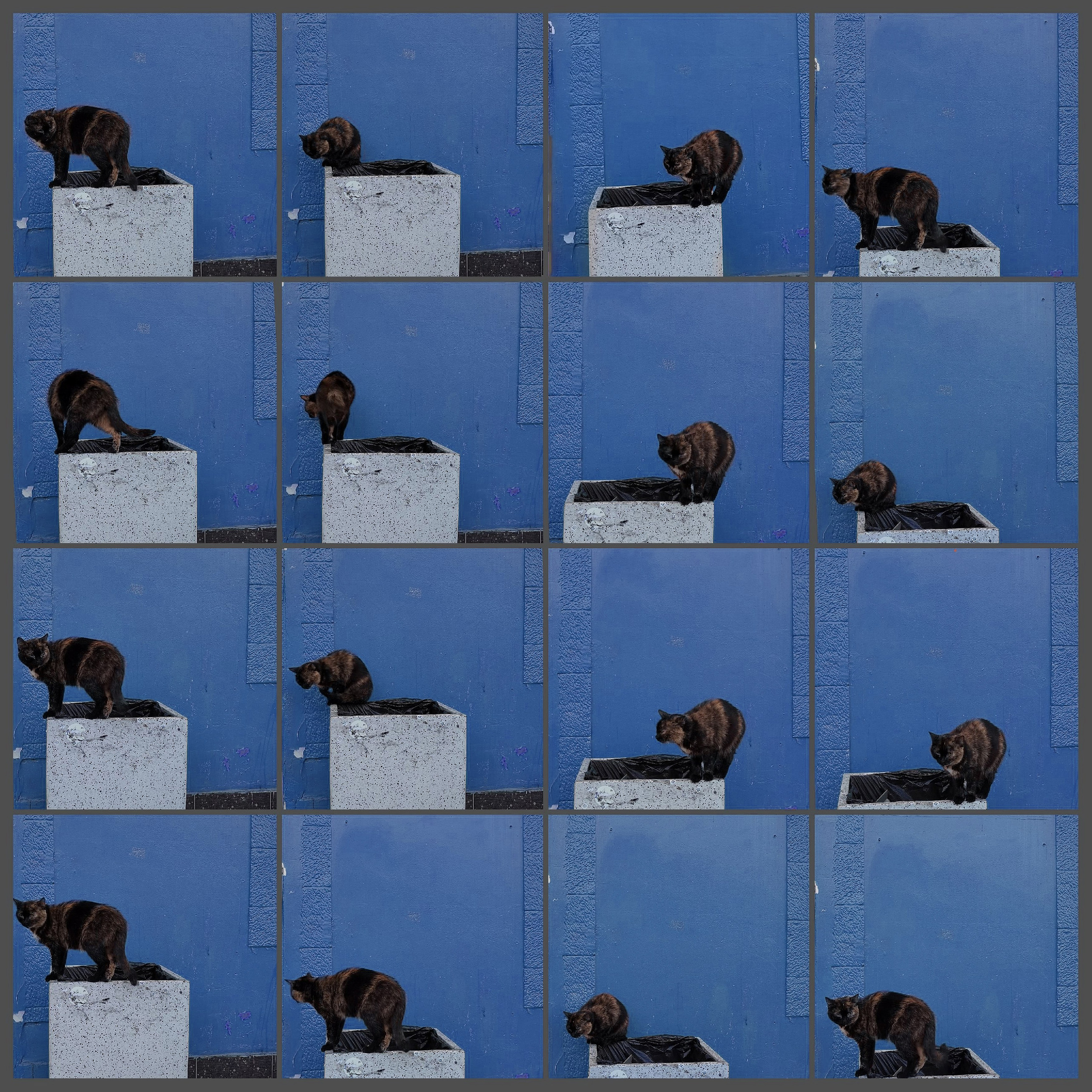 Энтропия. Главная