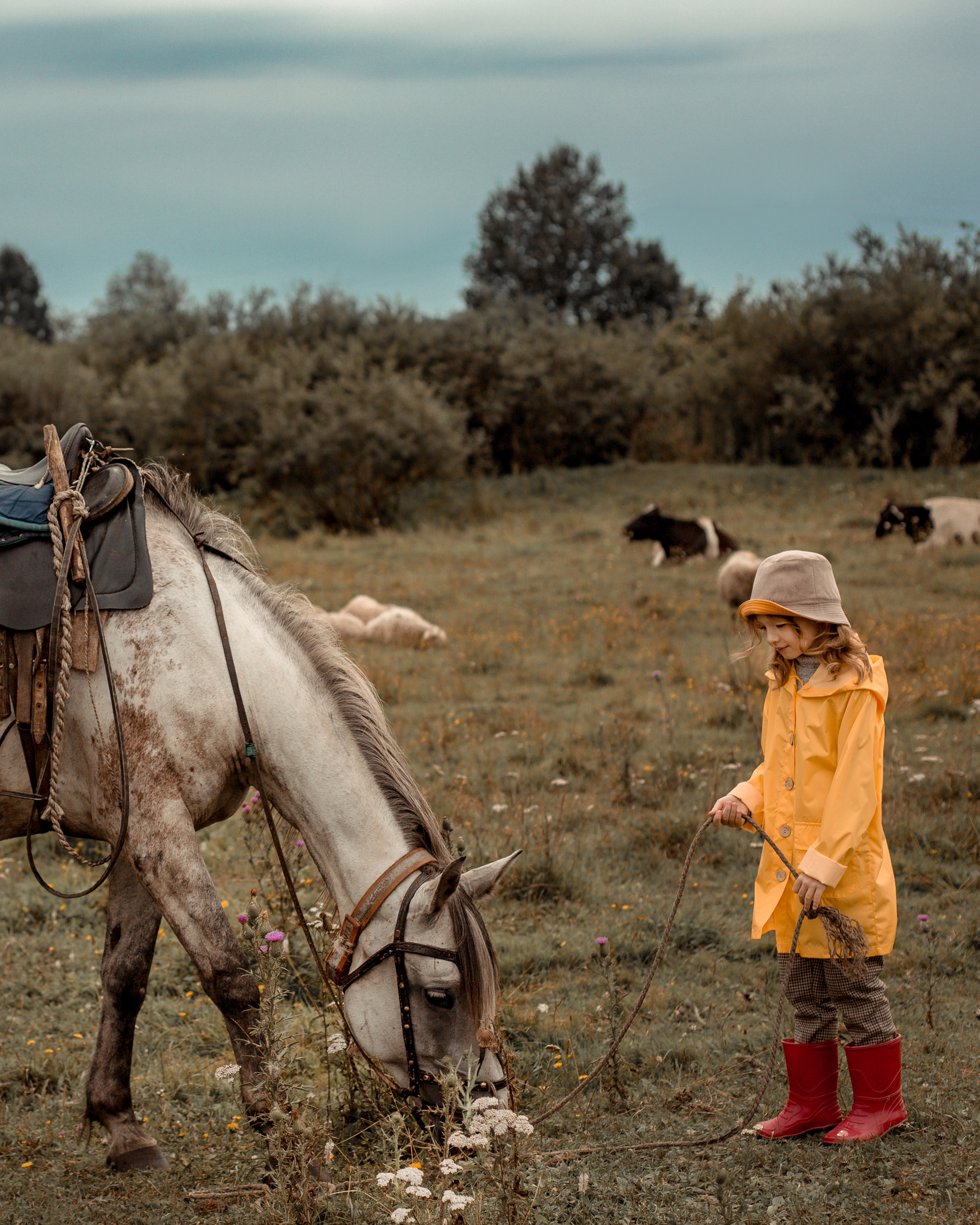 МОИ РАБОТЫ. Фотограф в Киселёвске, Прокопьевске и Новокузнецке Анастасия Зубкова