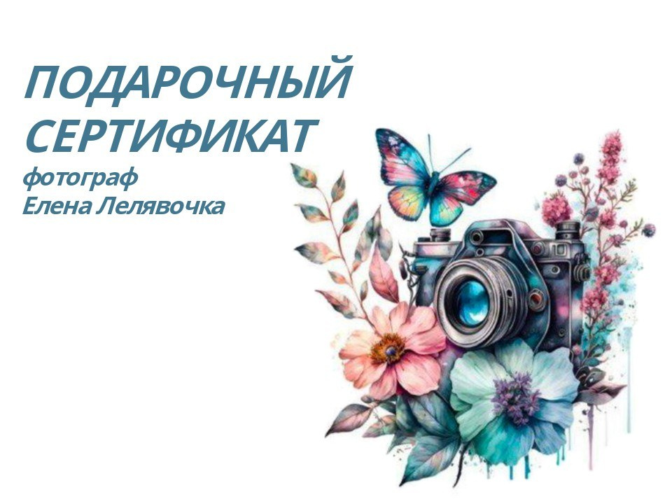 Услуги. Счастливый фотограф Елена Лелявочка Санкт-Петербург