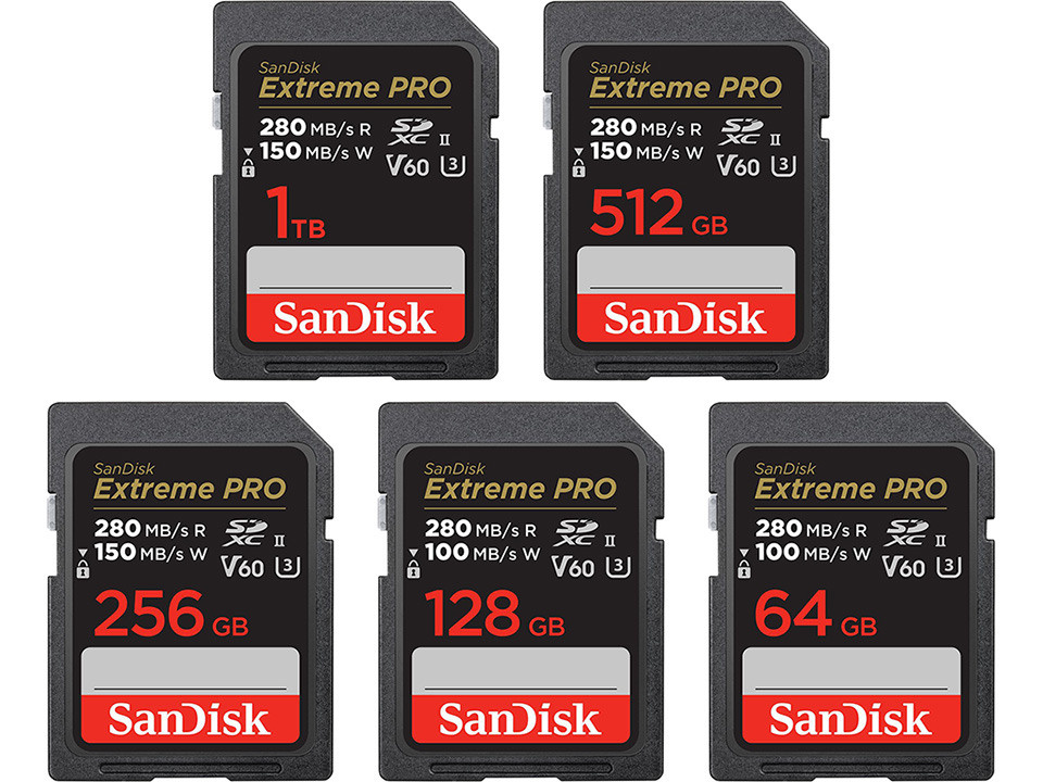 Новая линейка до 1 ТБ для «SanDisk Extreme PRO SD UHS-II». Фотограф — видеограф в Москве Дмитрий Менделеев