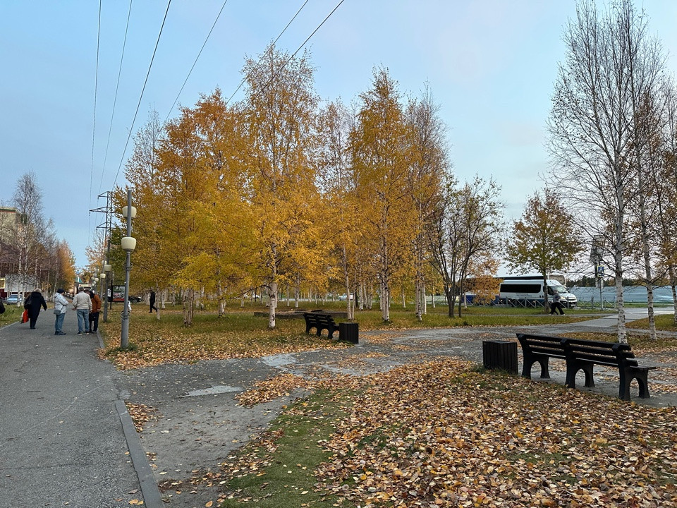 11 А ОСЕНЬ ПЛАН ДЕЙСТВИЙ НА ФОТОСЕССИИ, ПРИМЕРЫ ПОЗИРОВАНИЯ