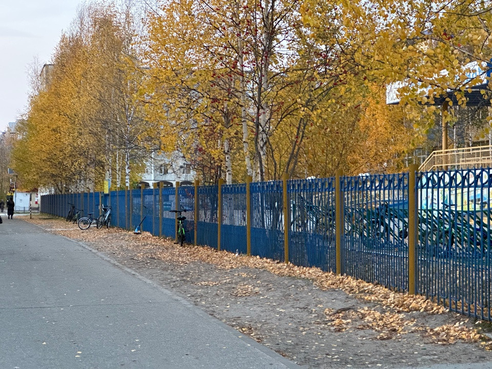 11 А ОСЕНЬ ПЛАН ДЕЙСТВИЙ НА ФОТОСЕССИИ, ПРИМЕРЫ ПОЗИРОВАНИЯ