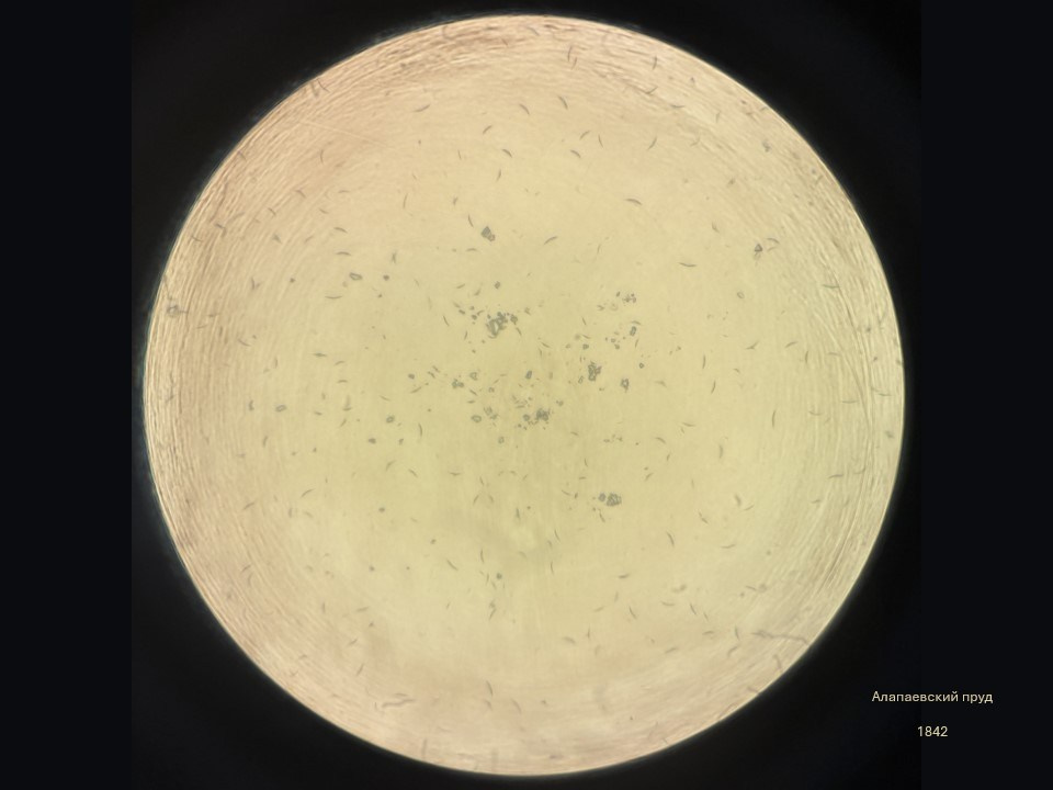 Олеся Фрич — Капля вселенной